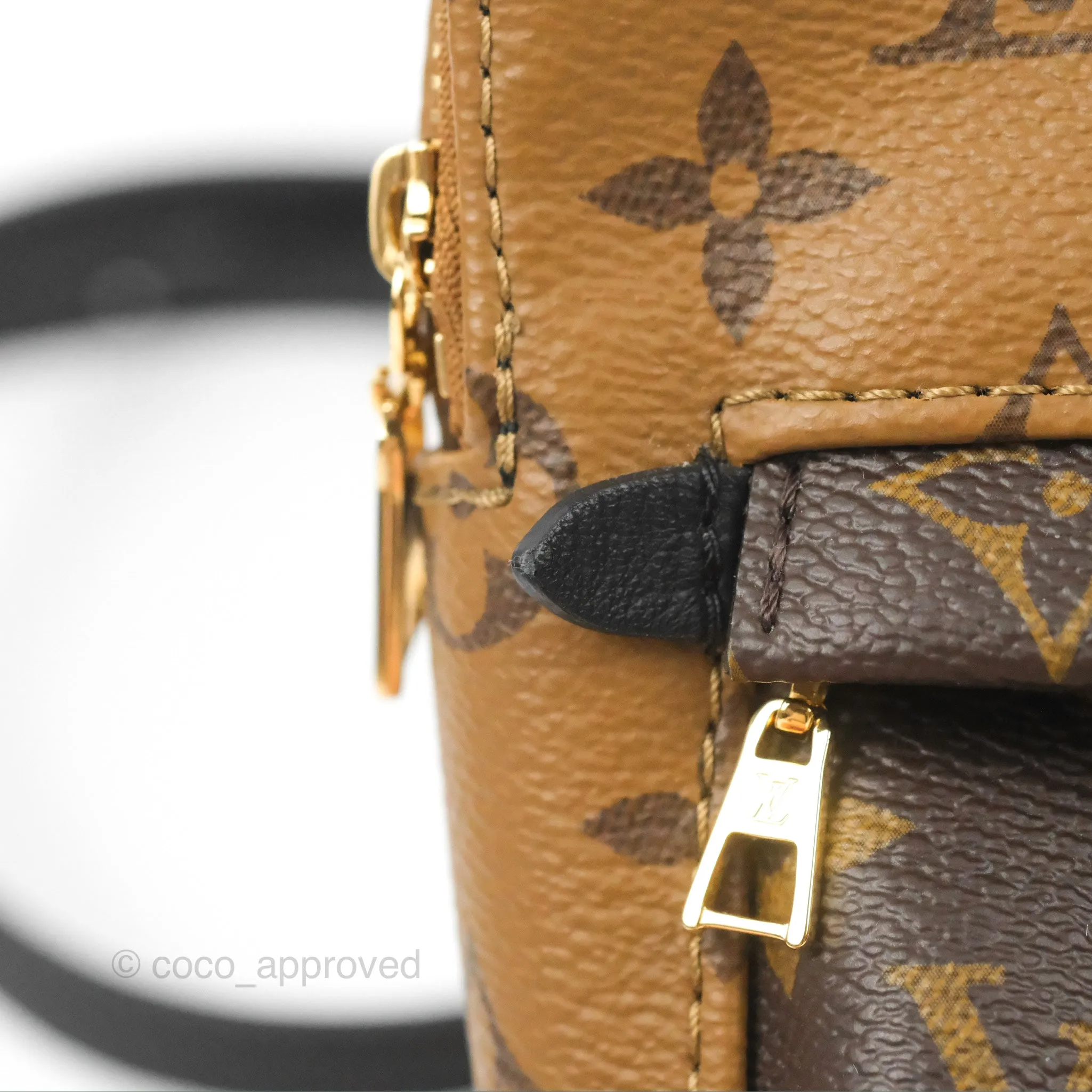 Louis Vuitton Reverse Mini Palm Springs Backpack