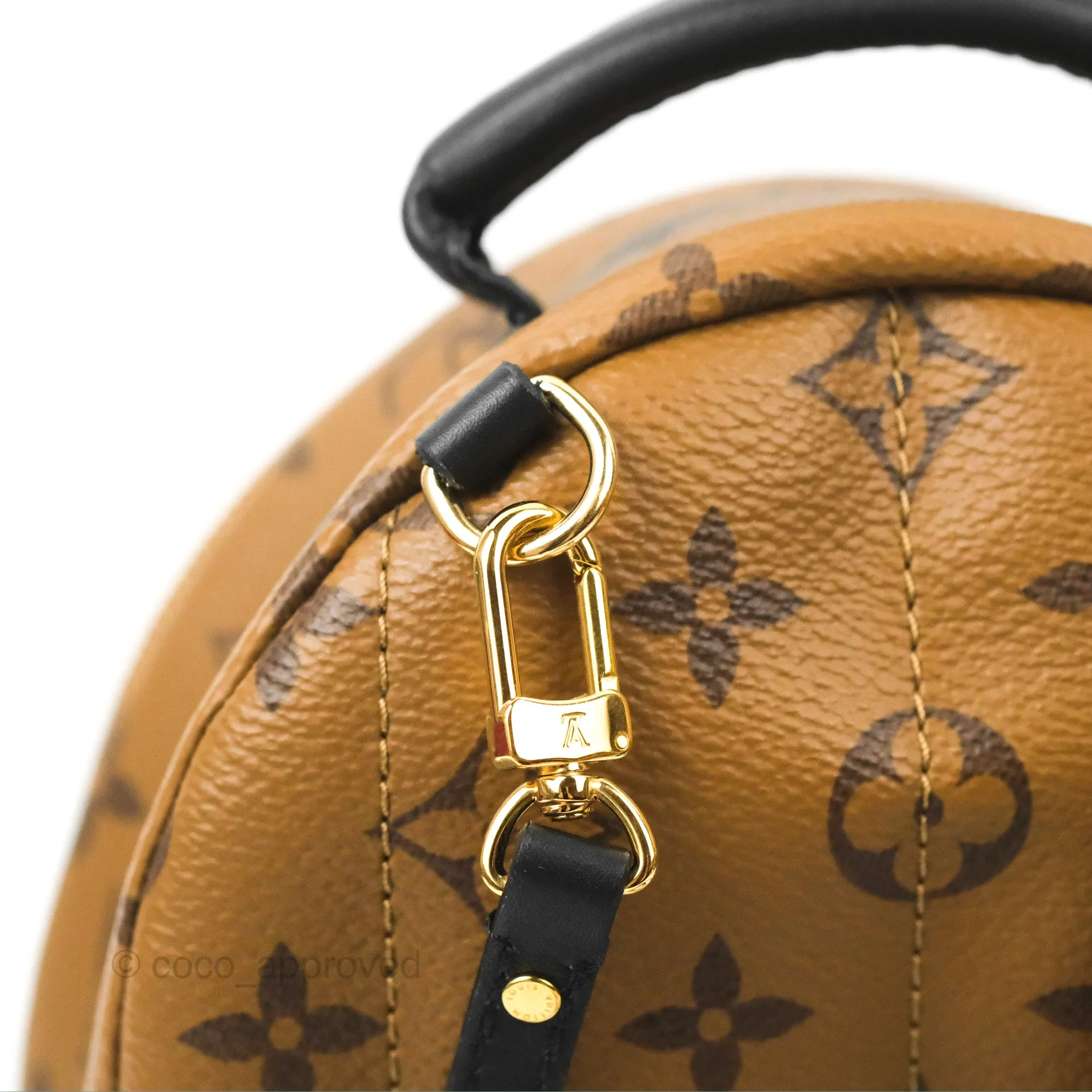 Louis Vuitton Reverse Mini Palm Springs Backpack
