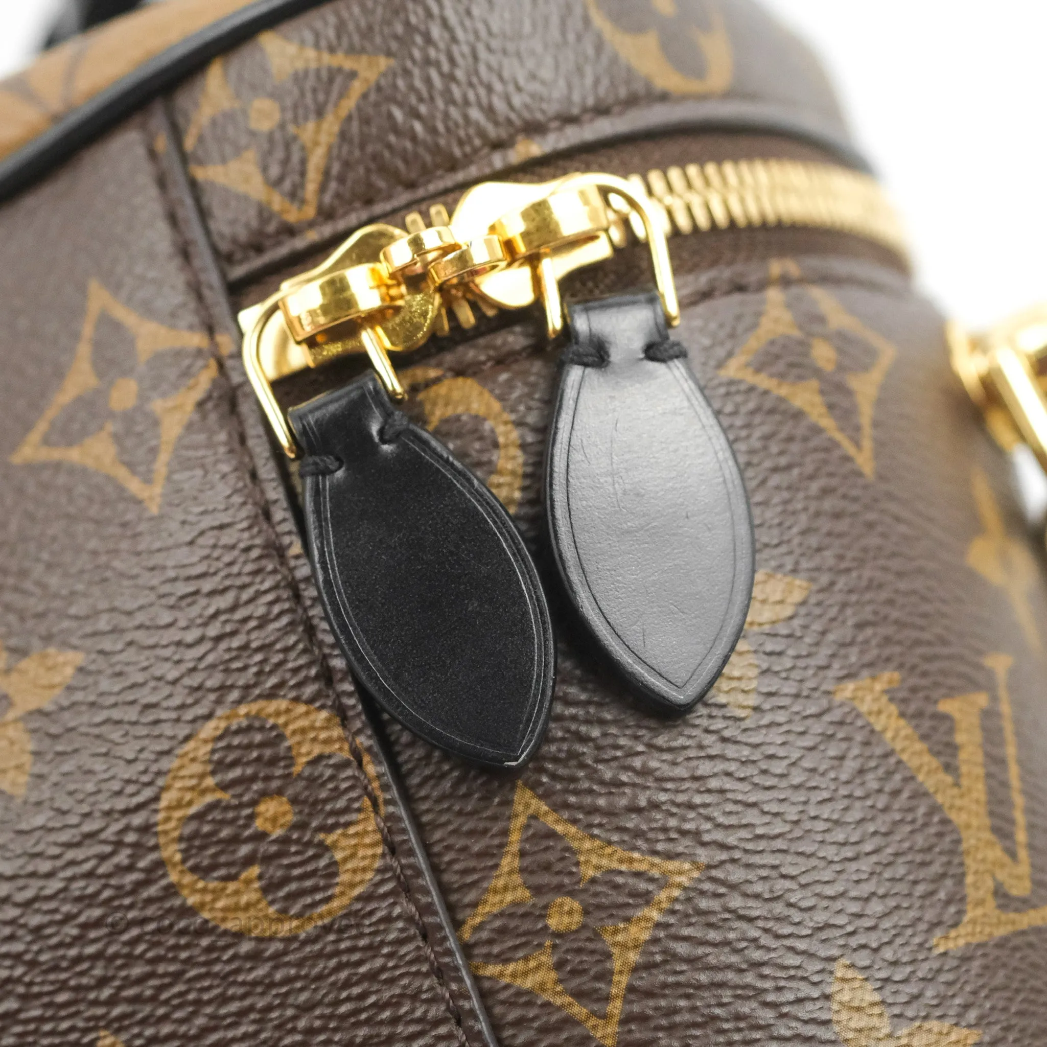 Louis Vuitton Reverse Monogram Vanity PM