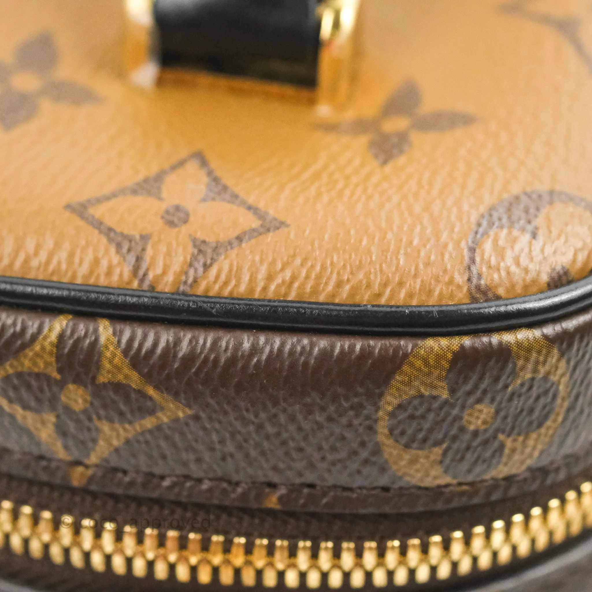 Louis Vuitton Reverse Monogram Vanity PM