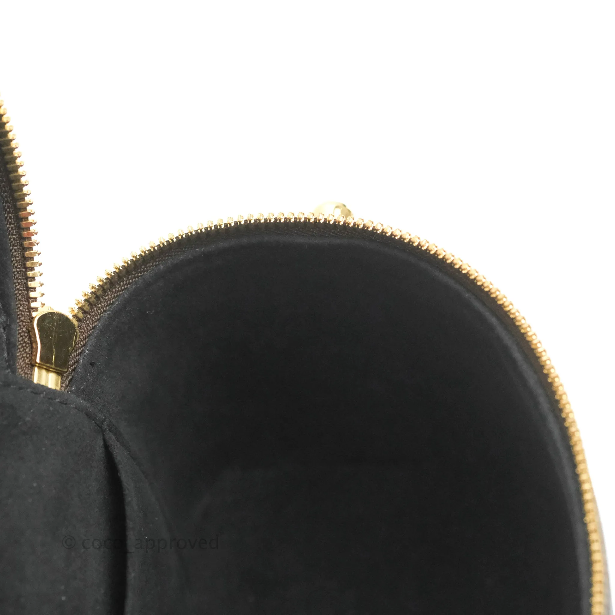 Louis Vuitton Reverse Monogram Vanity PM