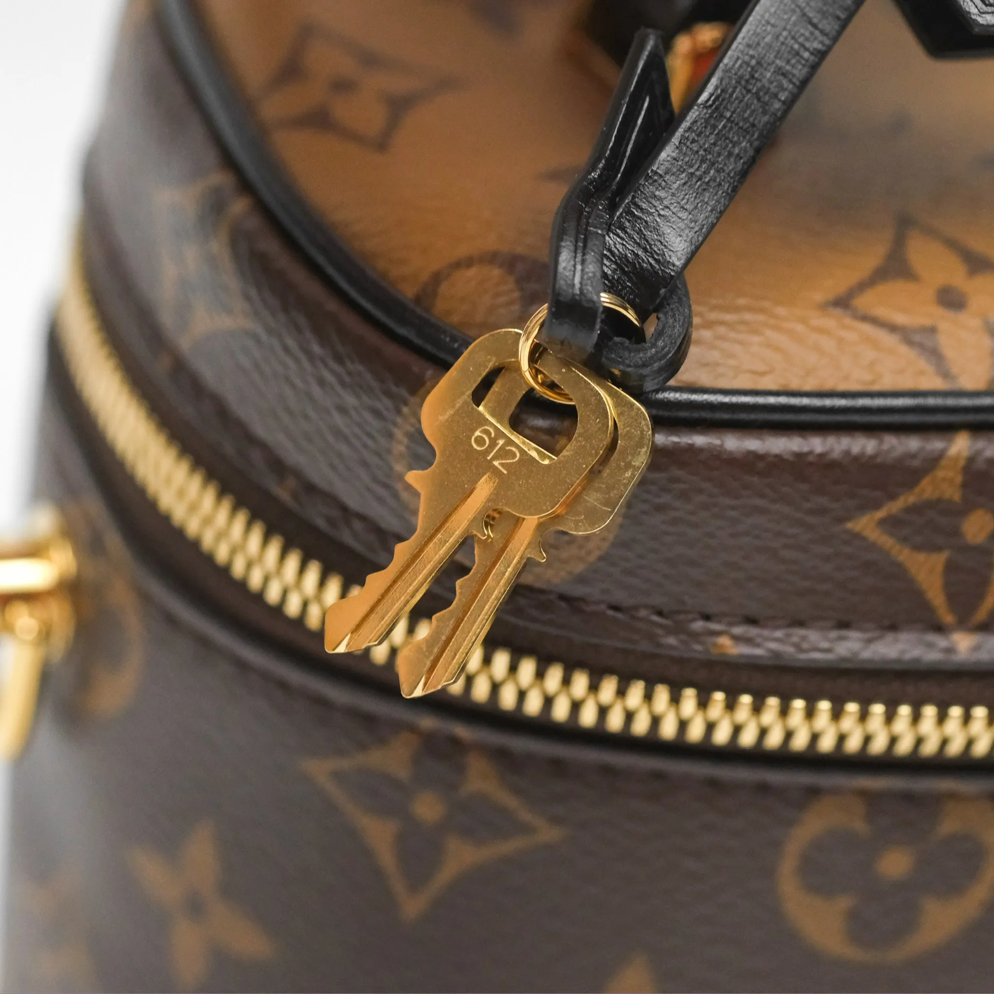 Louis Vuitton Reverse Monogram Vanity PM