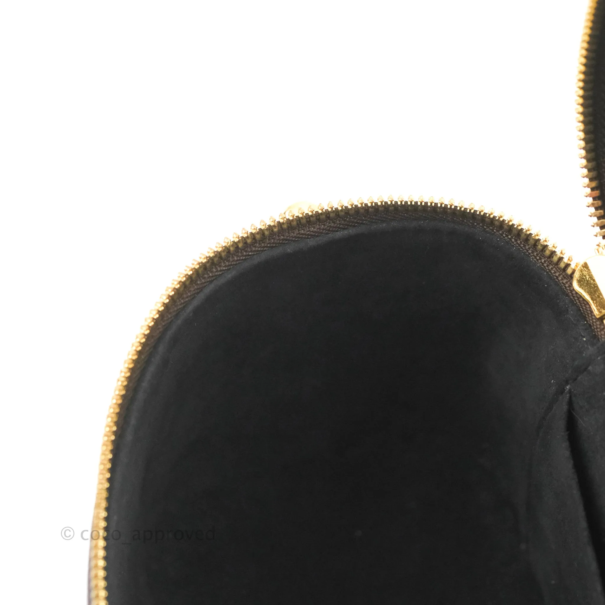 Louis Vuitton Reverse Monogram Vanity PM