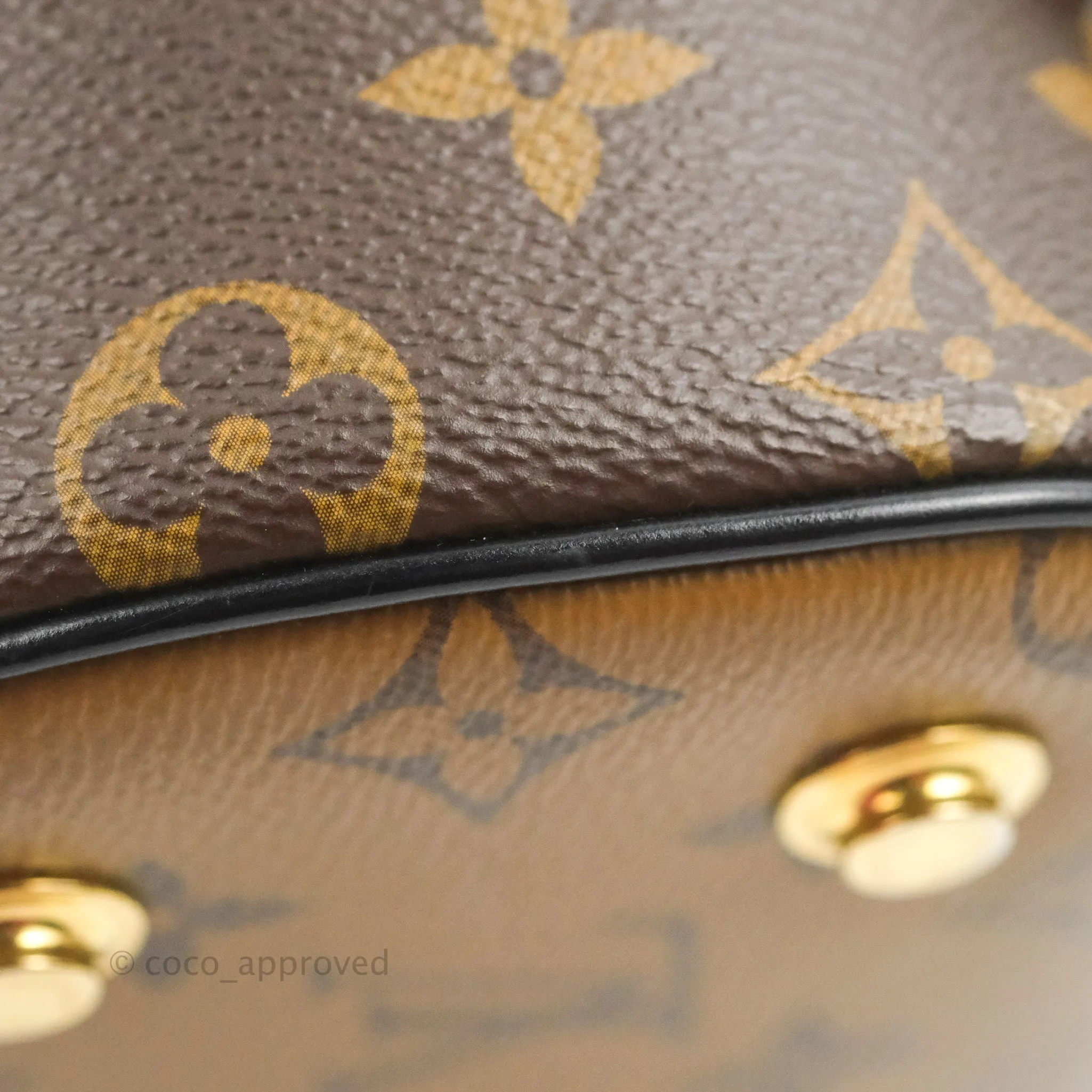 Louis Vuitton Reverse Monogram Vanity PM