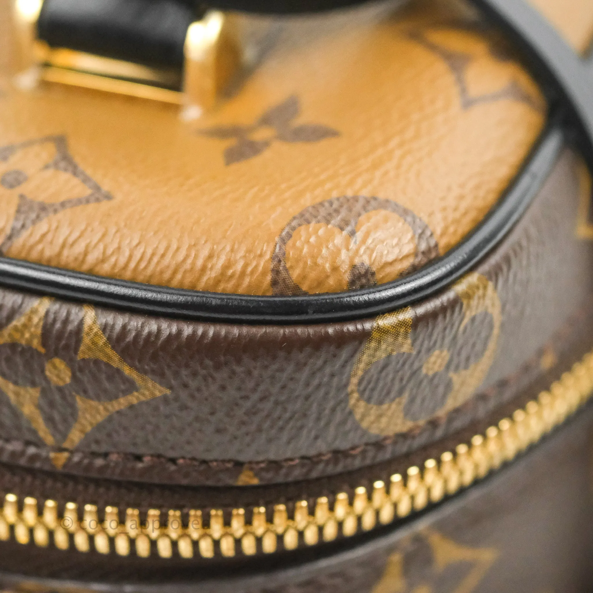 Louis Vuitton Reverse Monogram Vanity PM