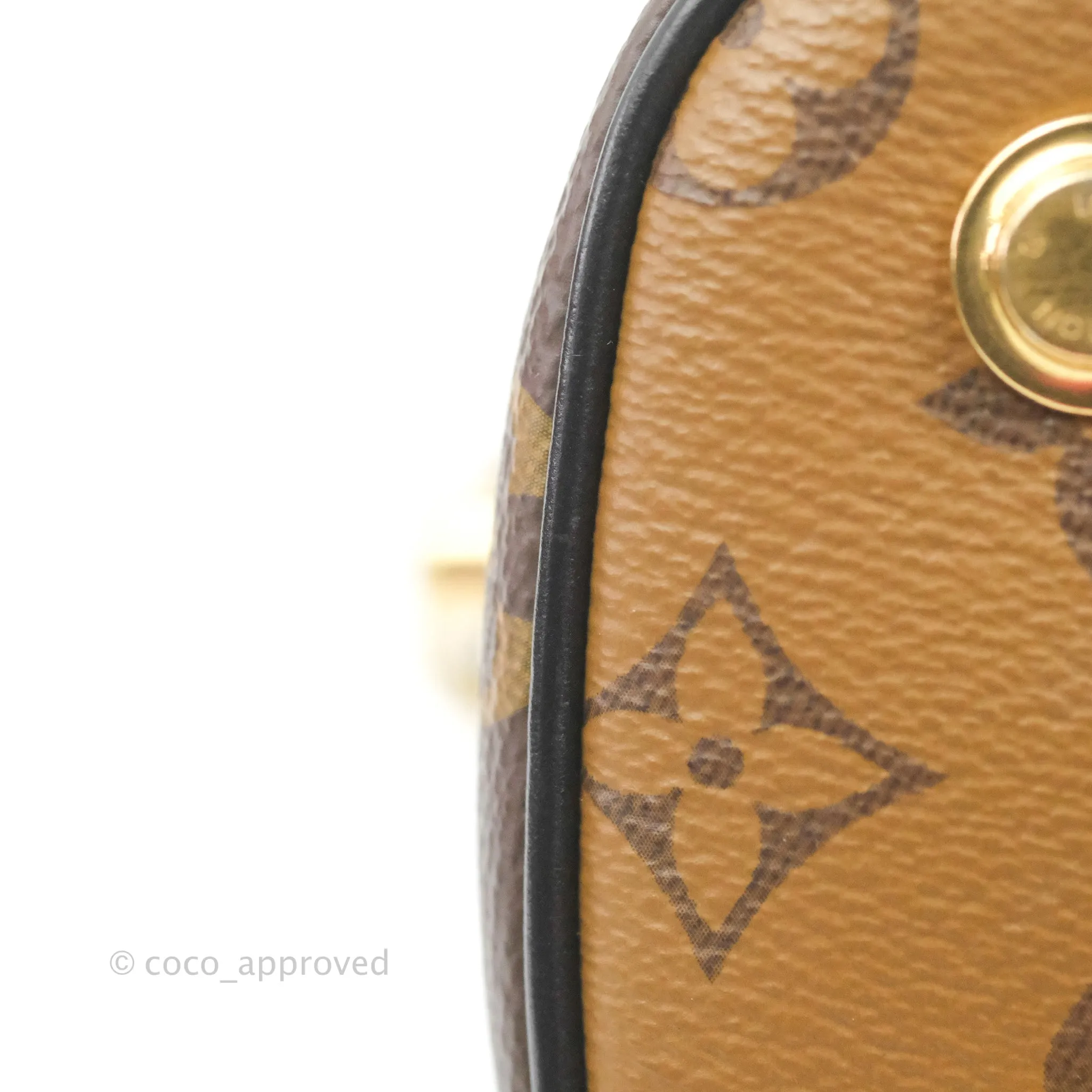 Louis Vuitton Reverse Monogram Vanity PM