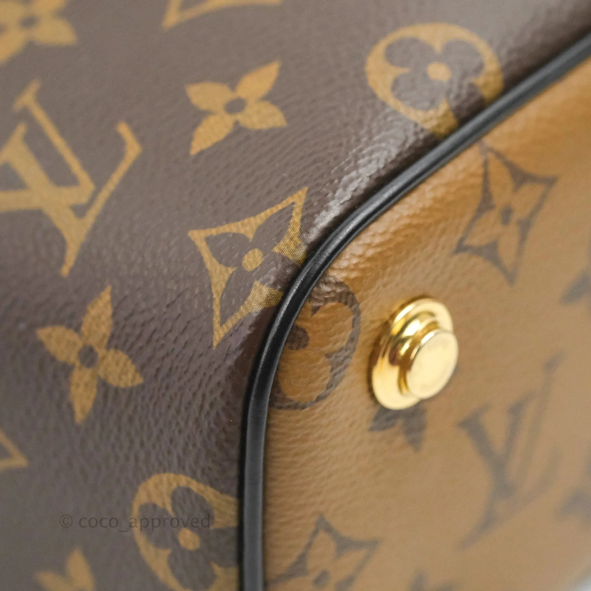 Louis Vuitton Reverse Monogram Vanity PM