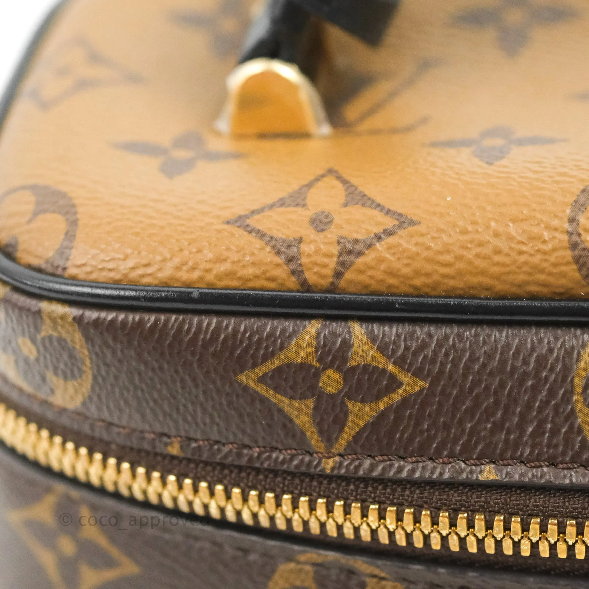 Louis Vuitton Reverse Monogram Vanity PM