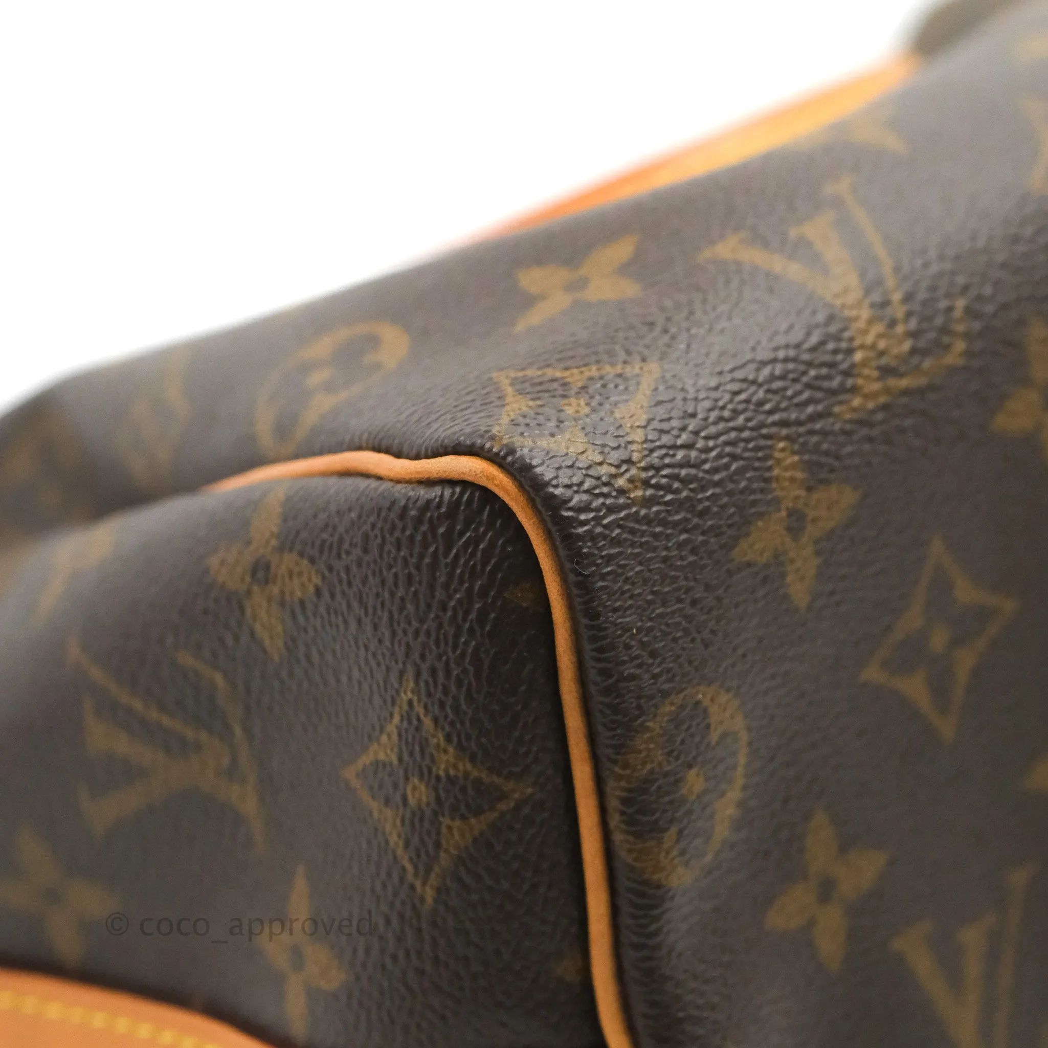 Louis Vuitton Speedy 25 Monogram Canvas