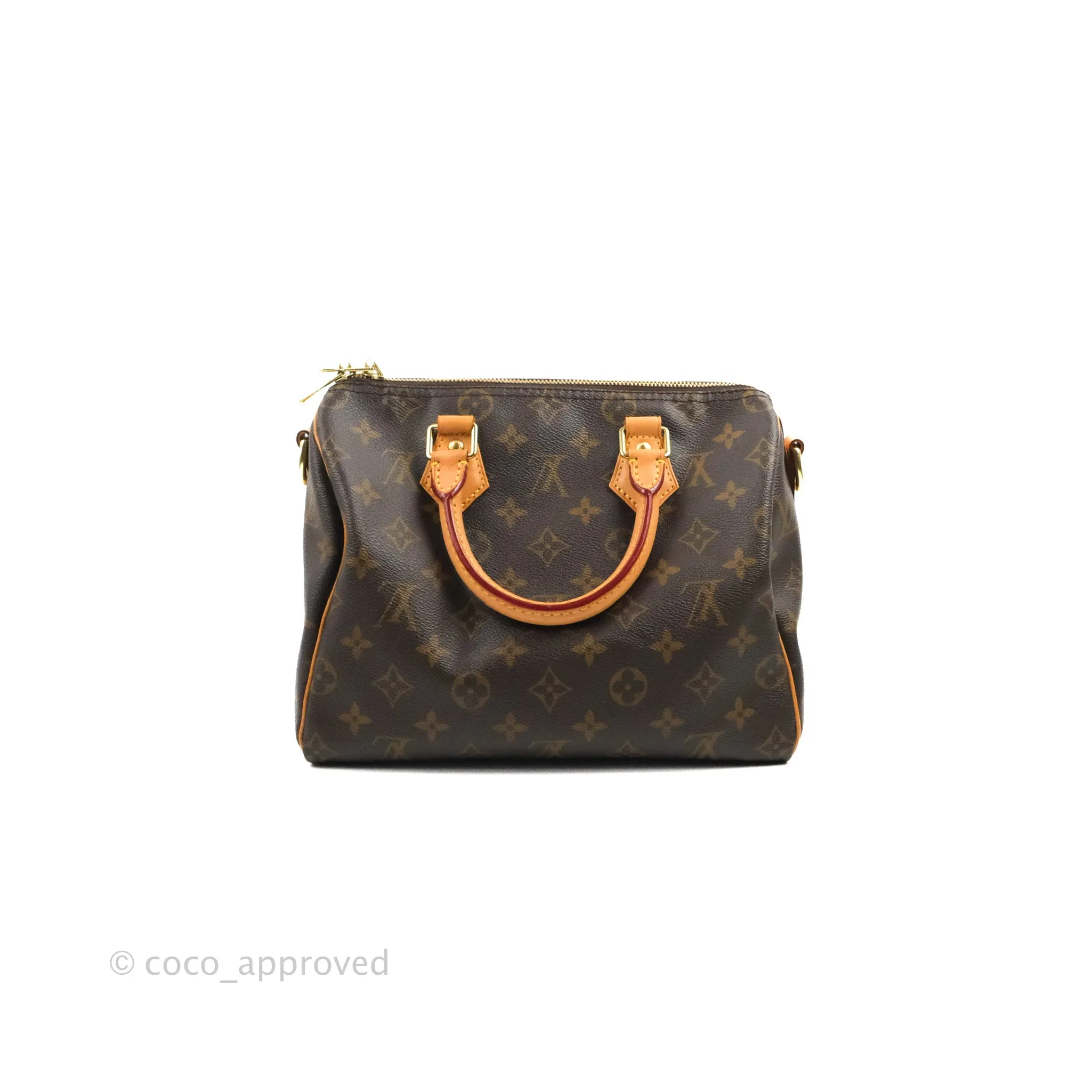 Louis Vuitton Speedy 25 Monogram Canvas