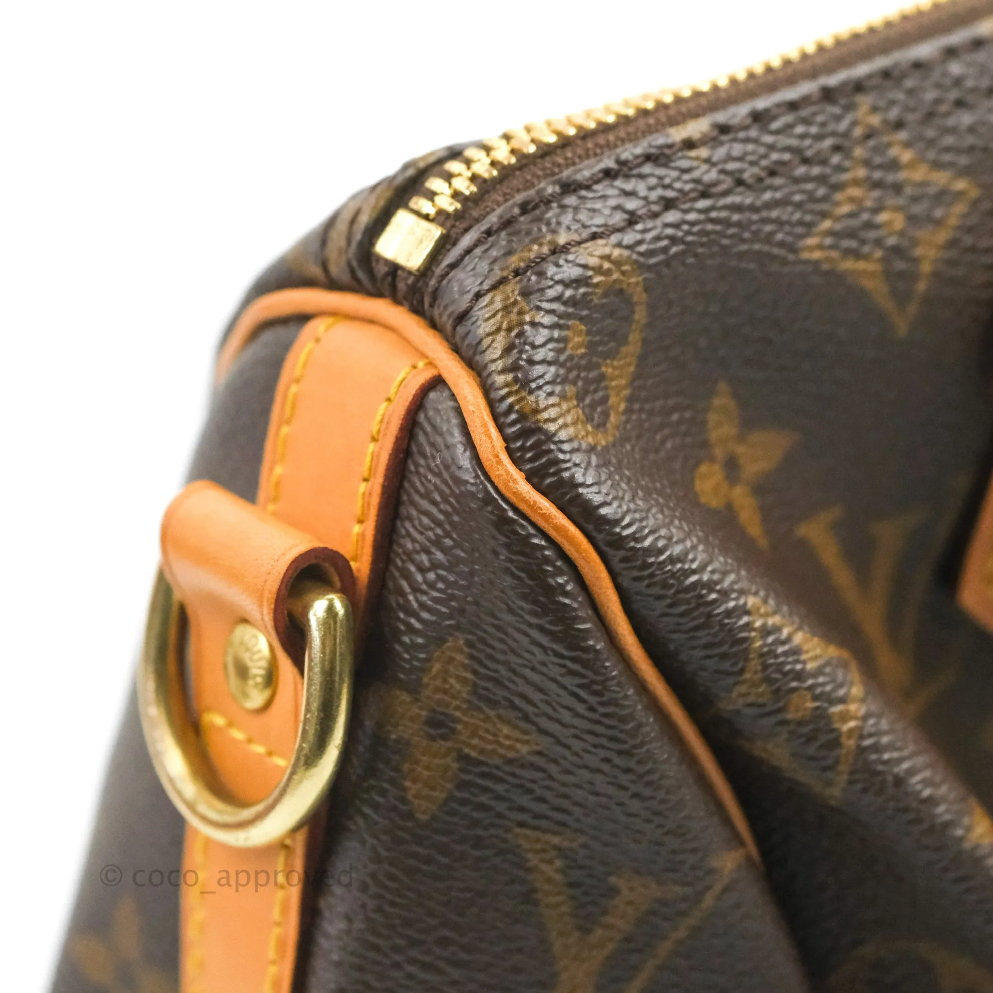 Louis Vuitton Speedy 25 Monogram Canvas