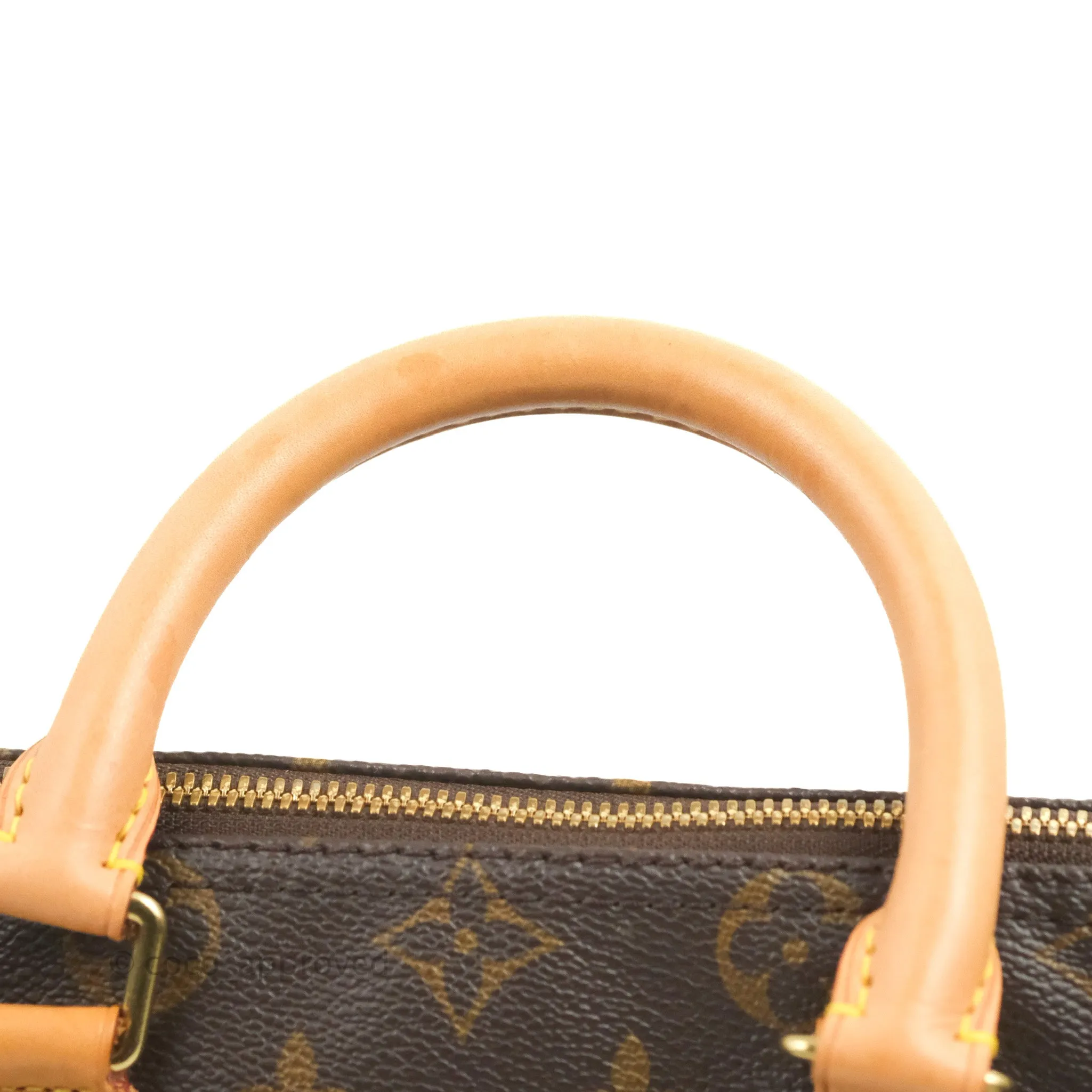 Louis Vuitton Speedy 25 Monogram Canvas