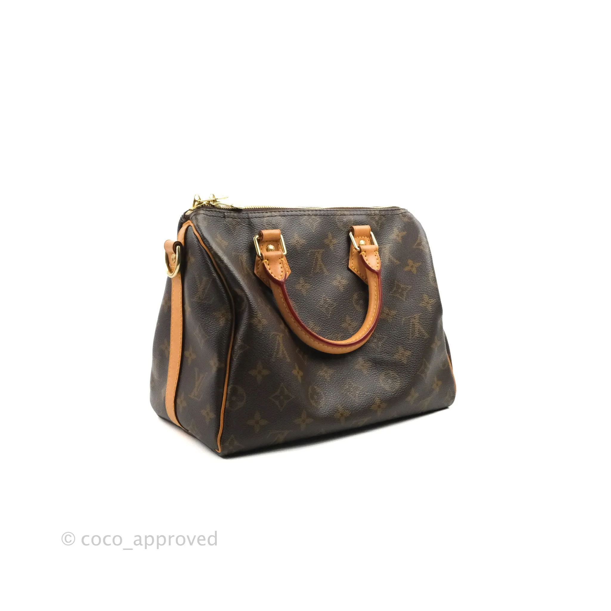 Louis Vuitton Speedy 25 Monogram Canvas