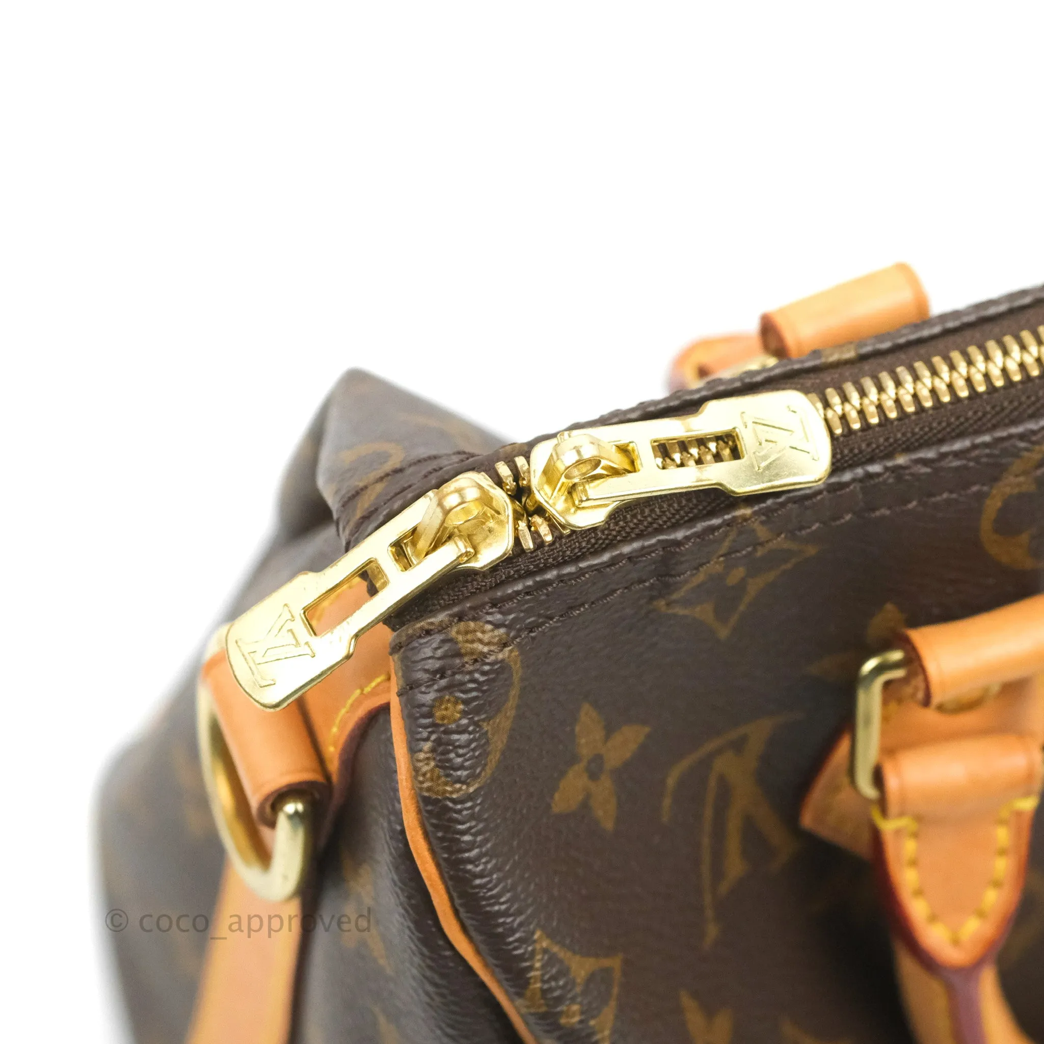 Louis Vuitton Speedy 25 Monogram Canvas