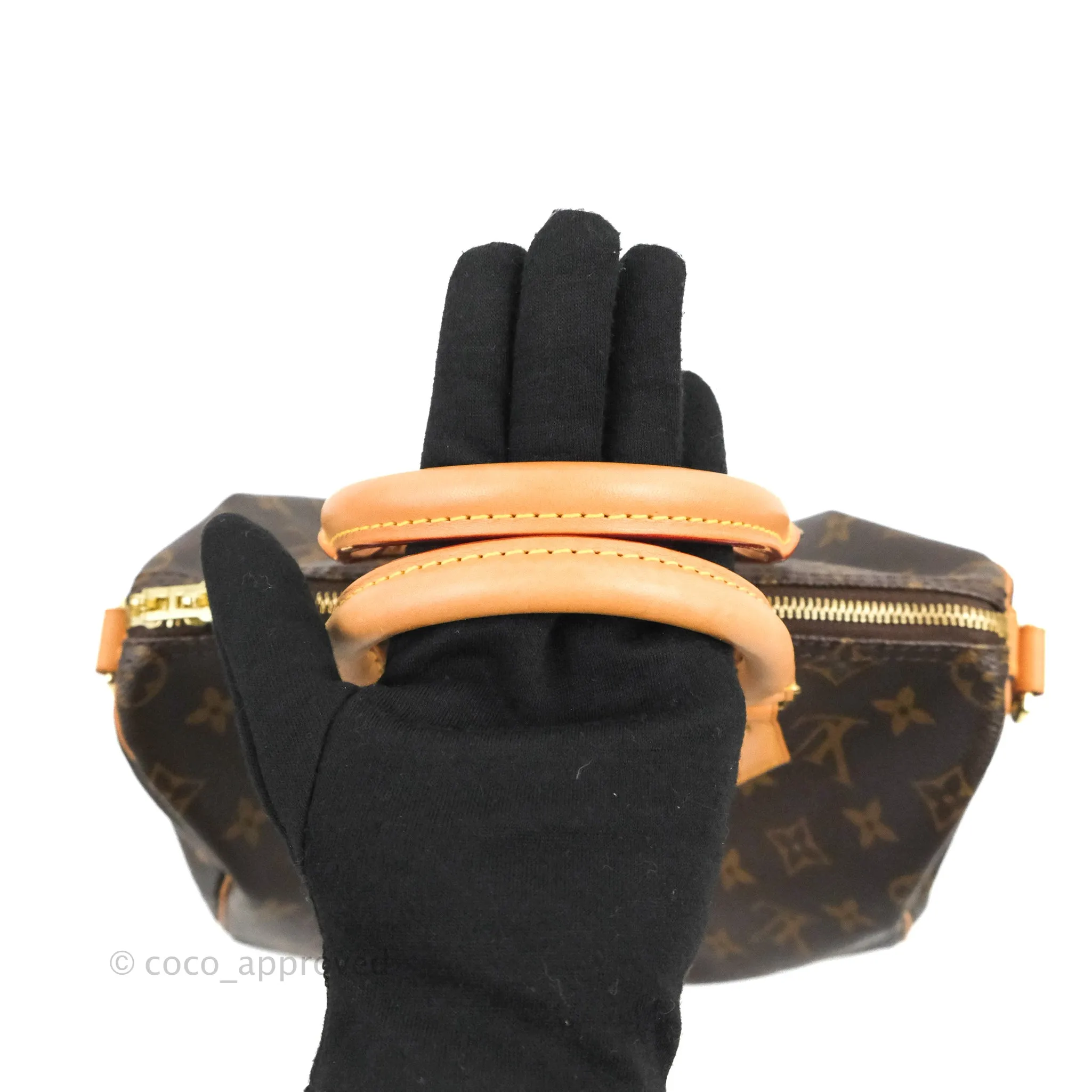 Louis Vuitton Speedy 25 Monogram Canvas
