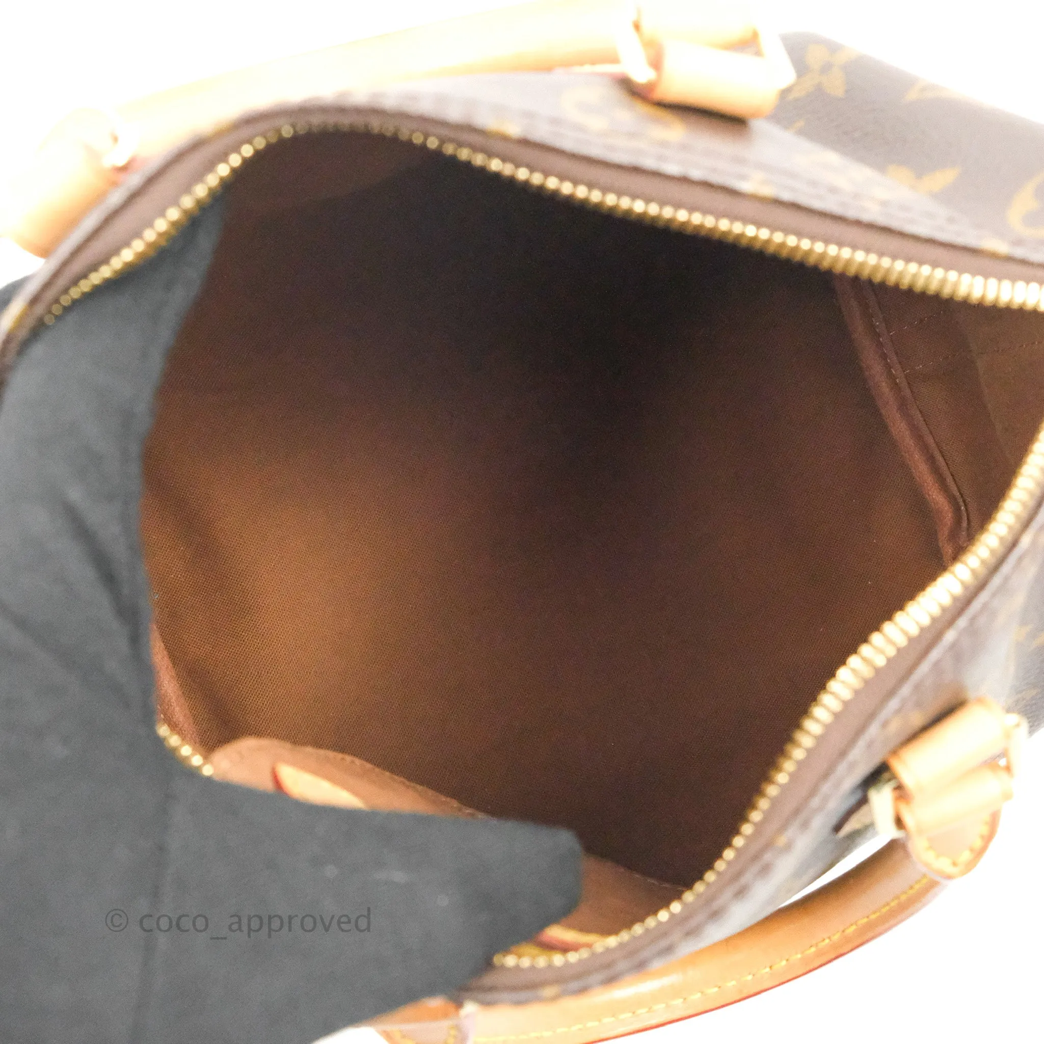 Louis Vuitton Speedy 25 Monogram Canvas