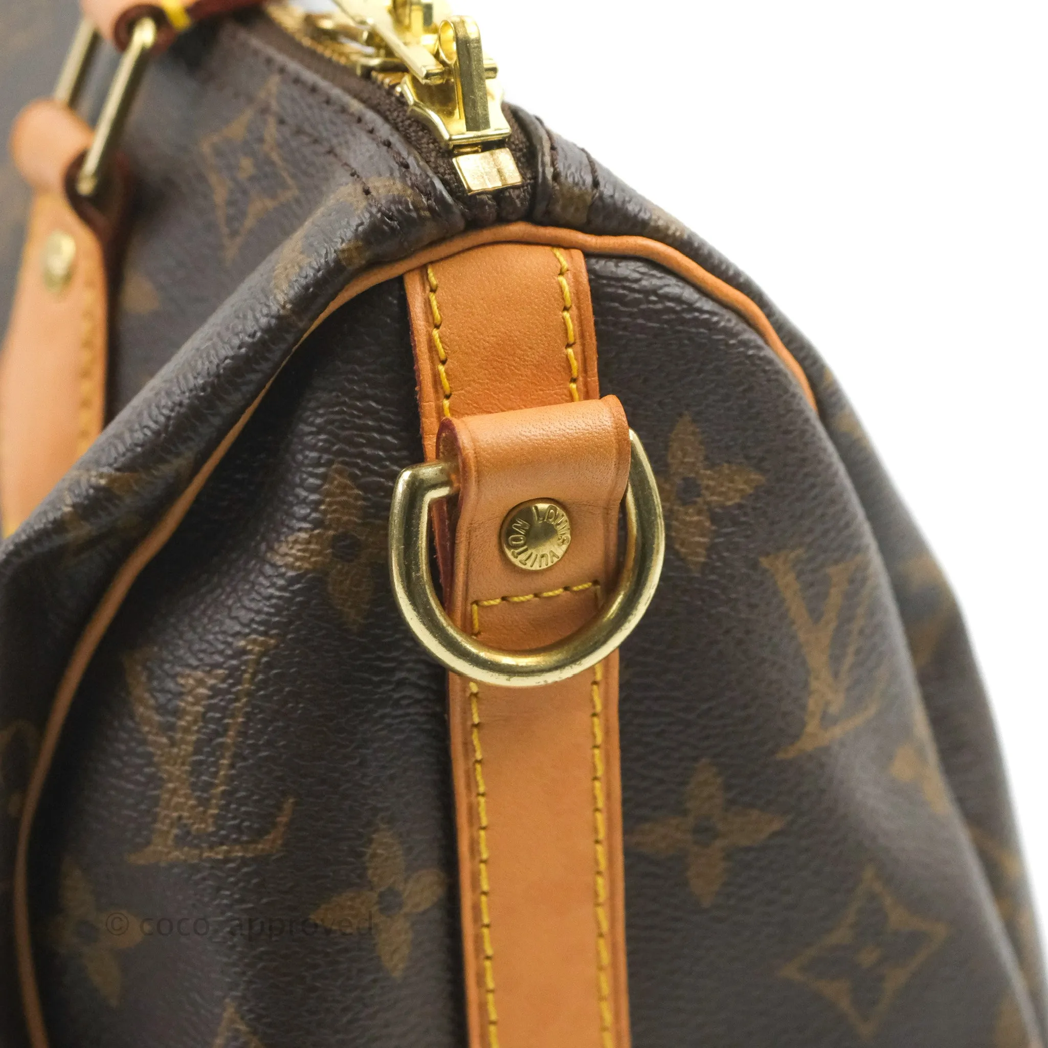 Louis Vuitton Speedy 25 Monogram Canvas