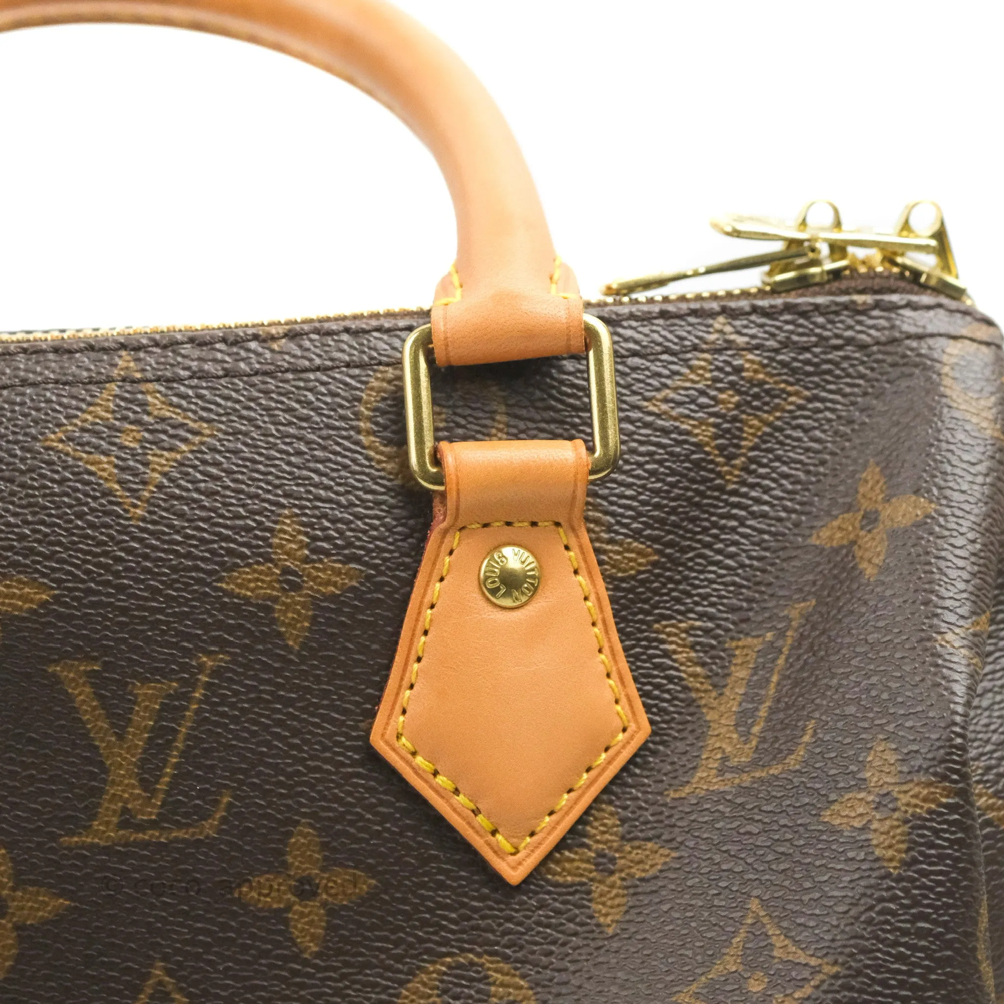 Louis Vuitton Speedy 25 Monogram Canvas
