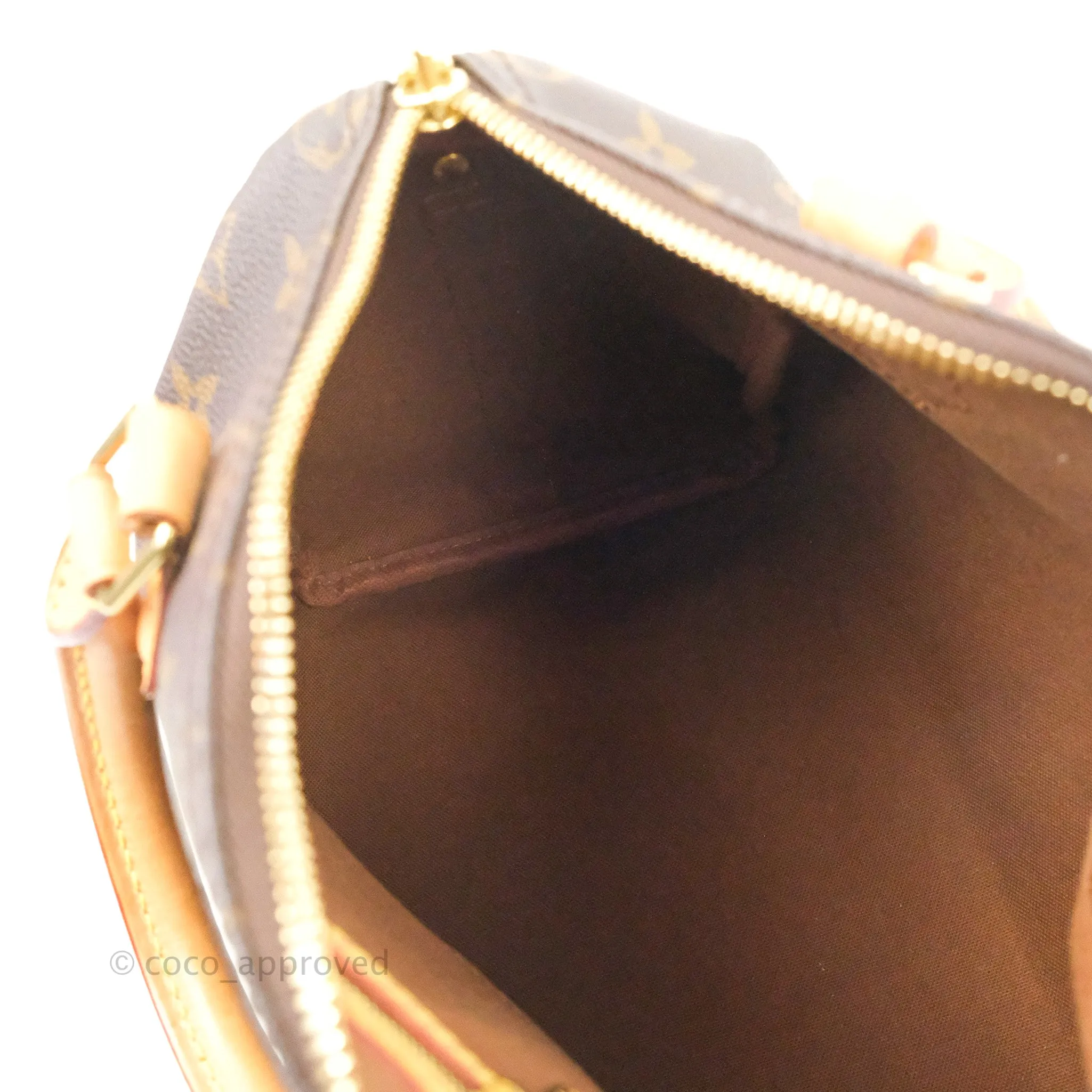 Louis Vuitton Speedy 25 Monogram Canvas