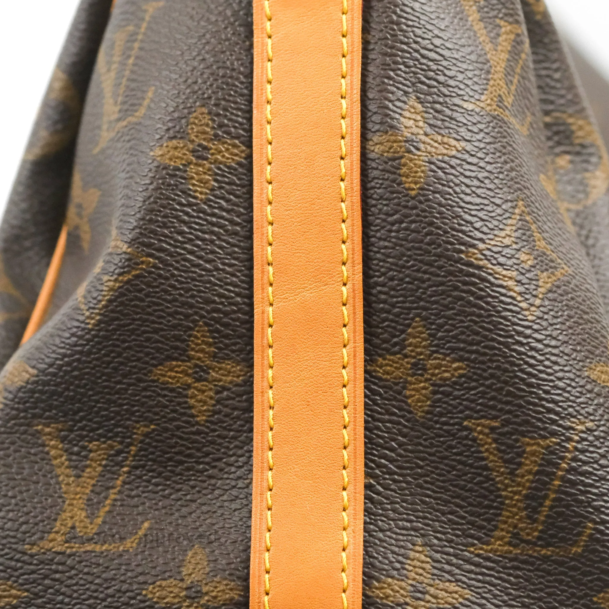 Louis Vuitton Speedy 25 Monogram Canvas