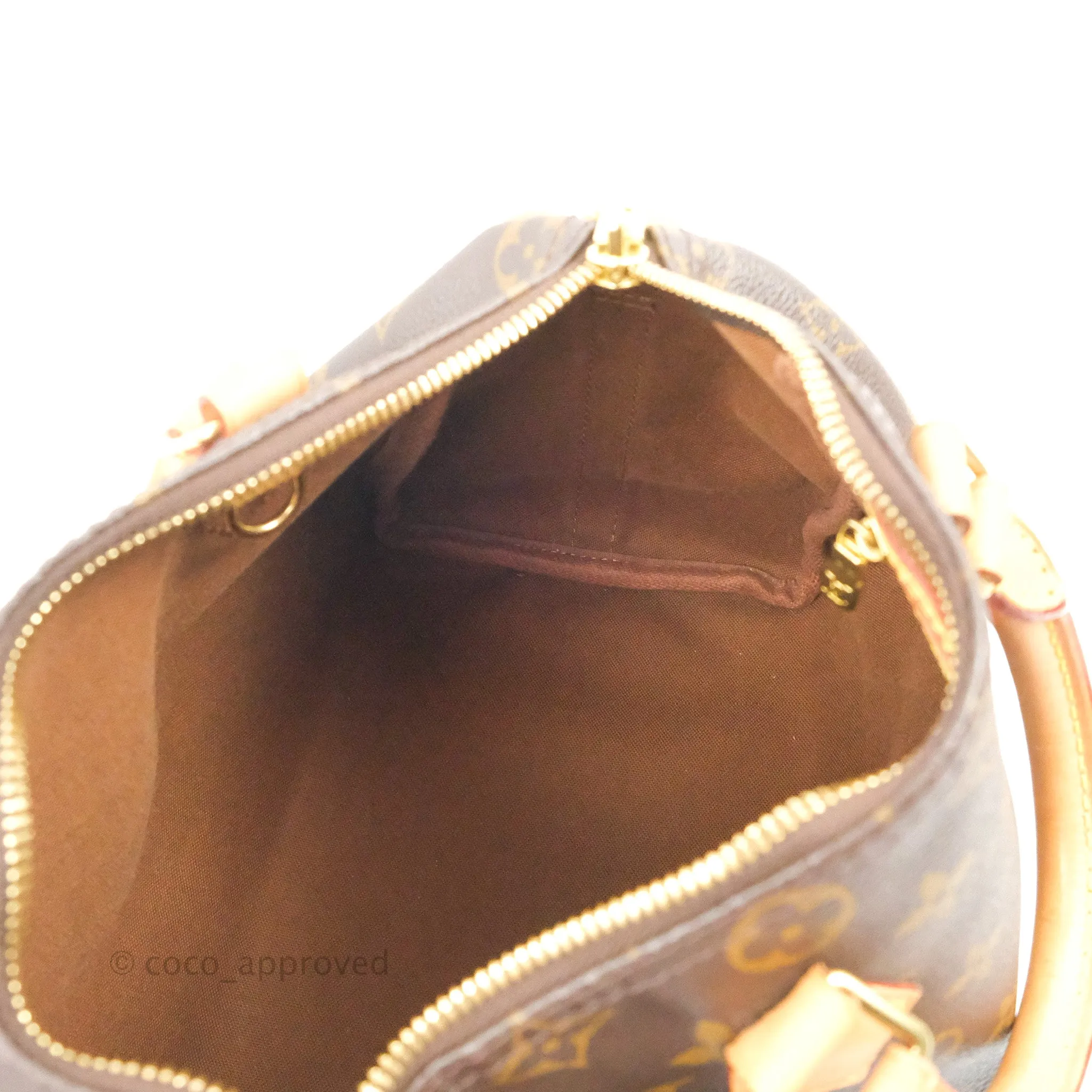 Louis Vuitton Speedy 25 Monogram Canvas