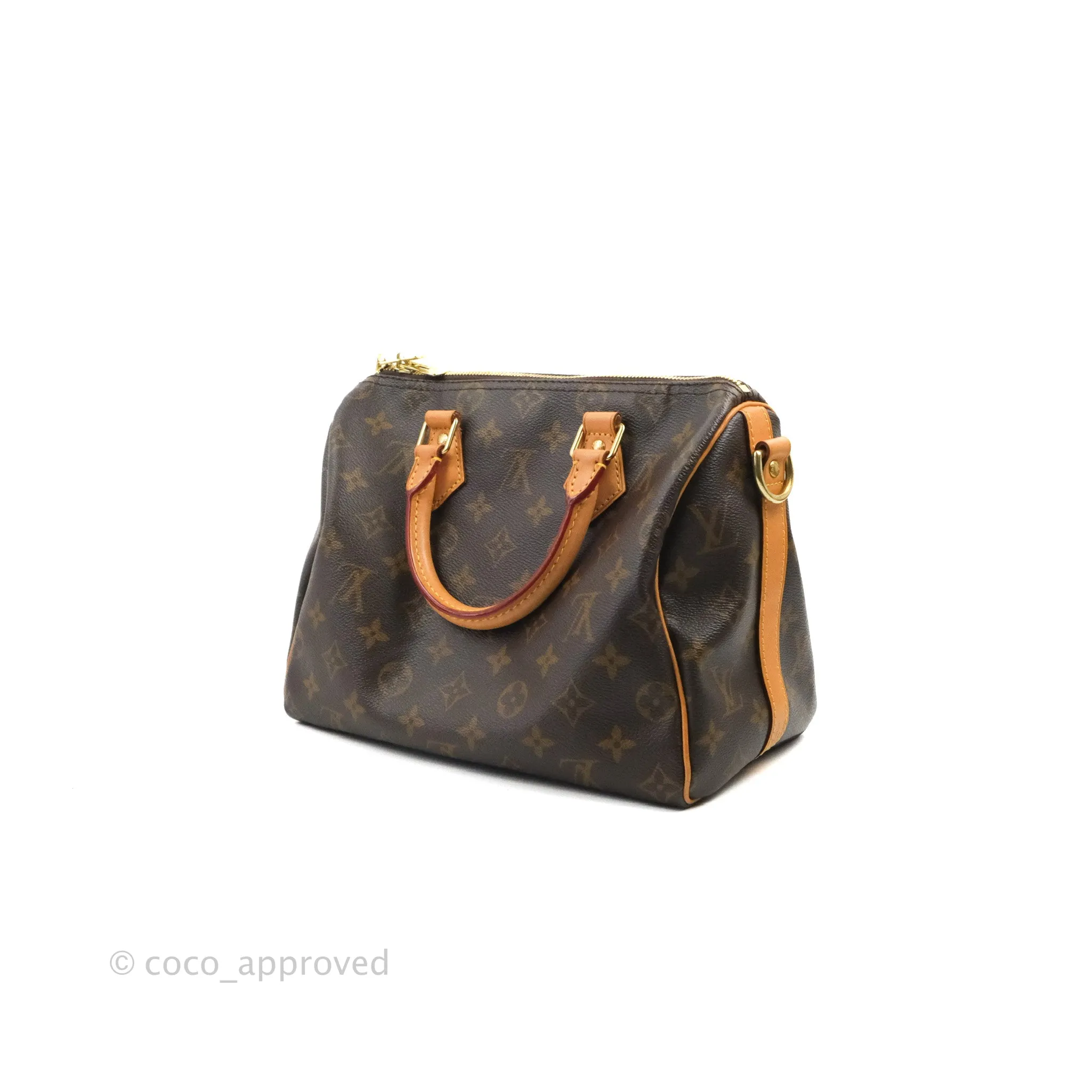 Louis Vuitton Speedy 25 Monogram Canvas