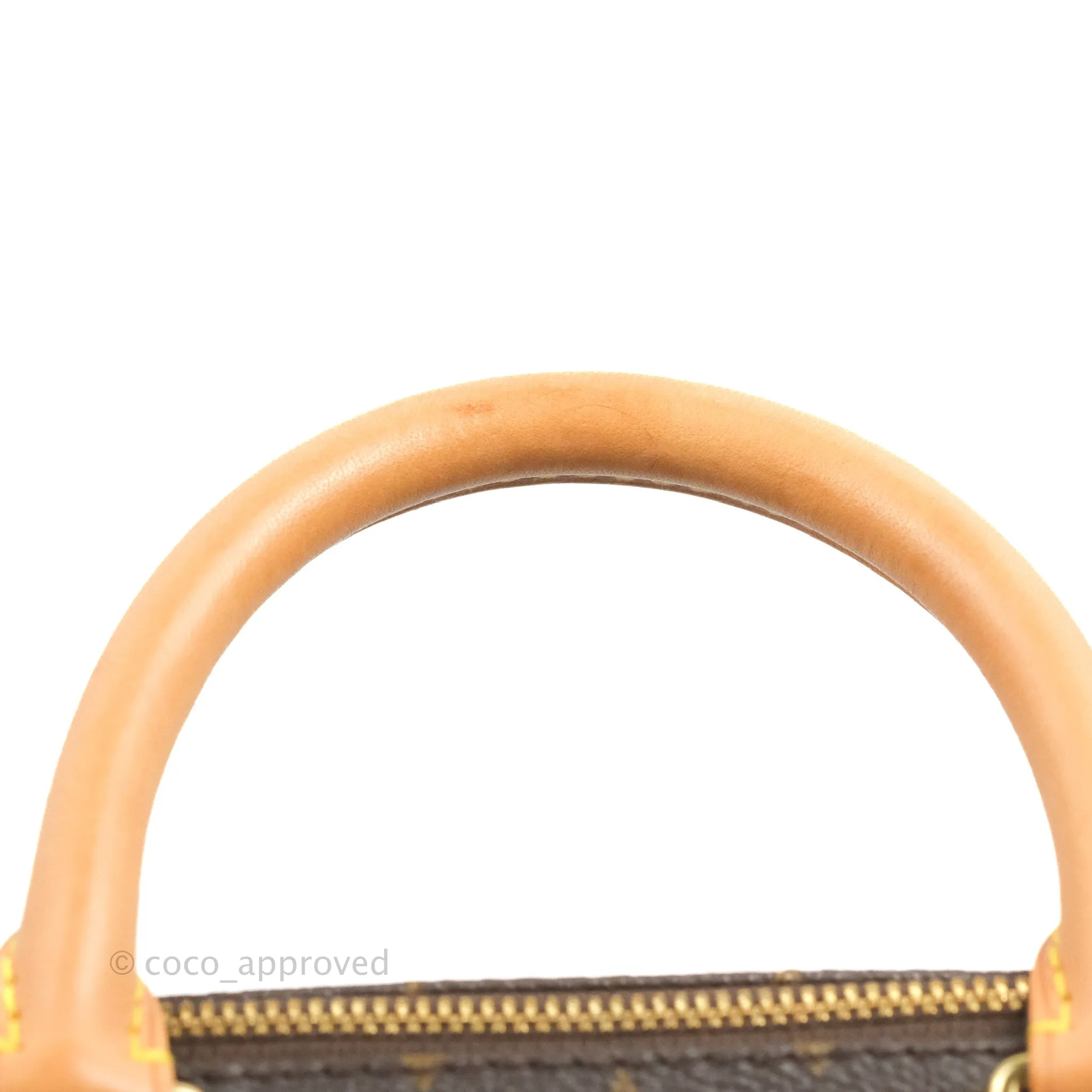 Louis Vuitton Speedy 25 Monogram Canvas