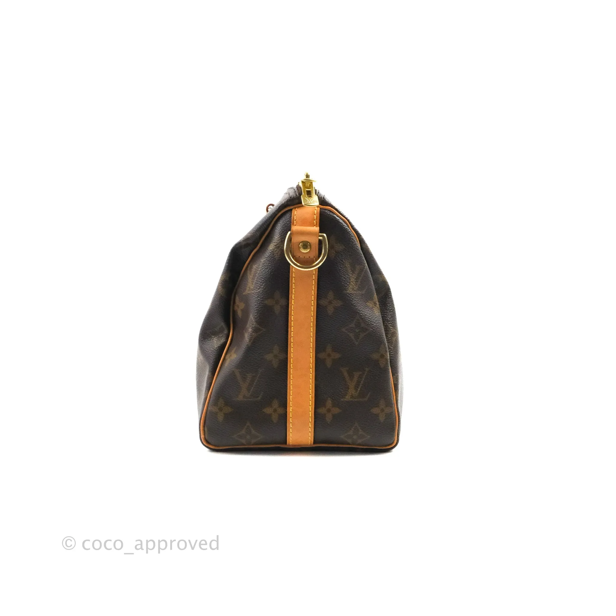 Louis Vuitton Speedy 25 Monogram Canvas
