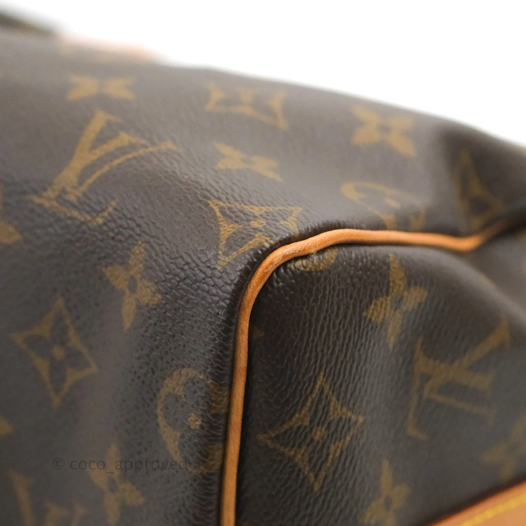Louis Vuitton Speedy 25 Monogram Canvas