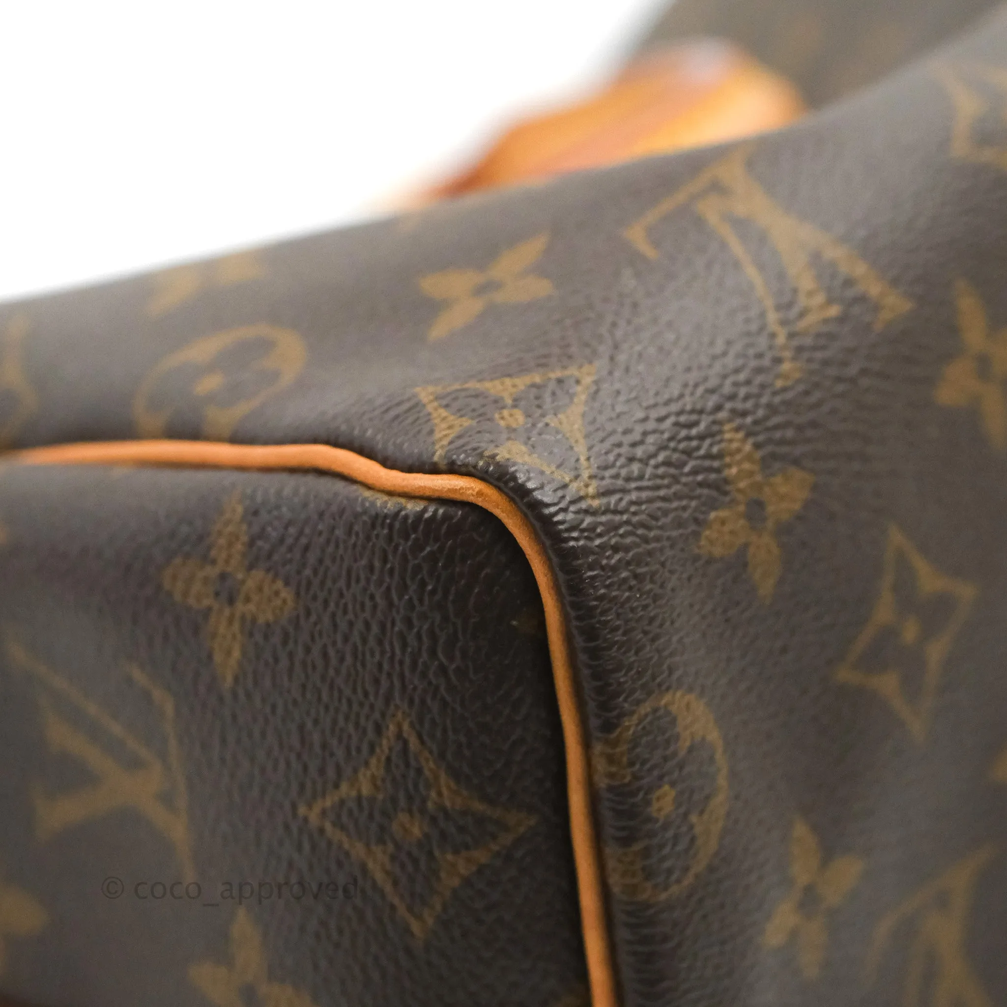 Louis Vuitton Speedy 25 Monogram Canvas
