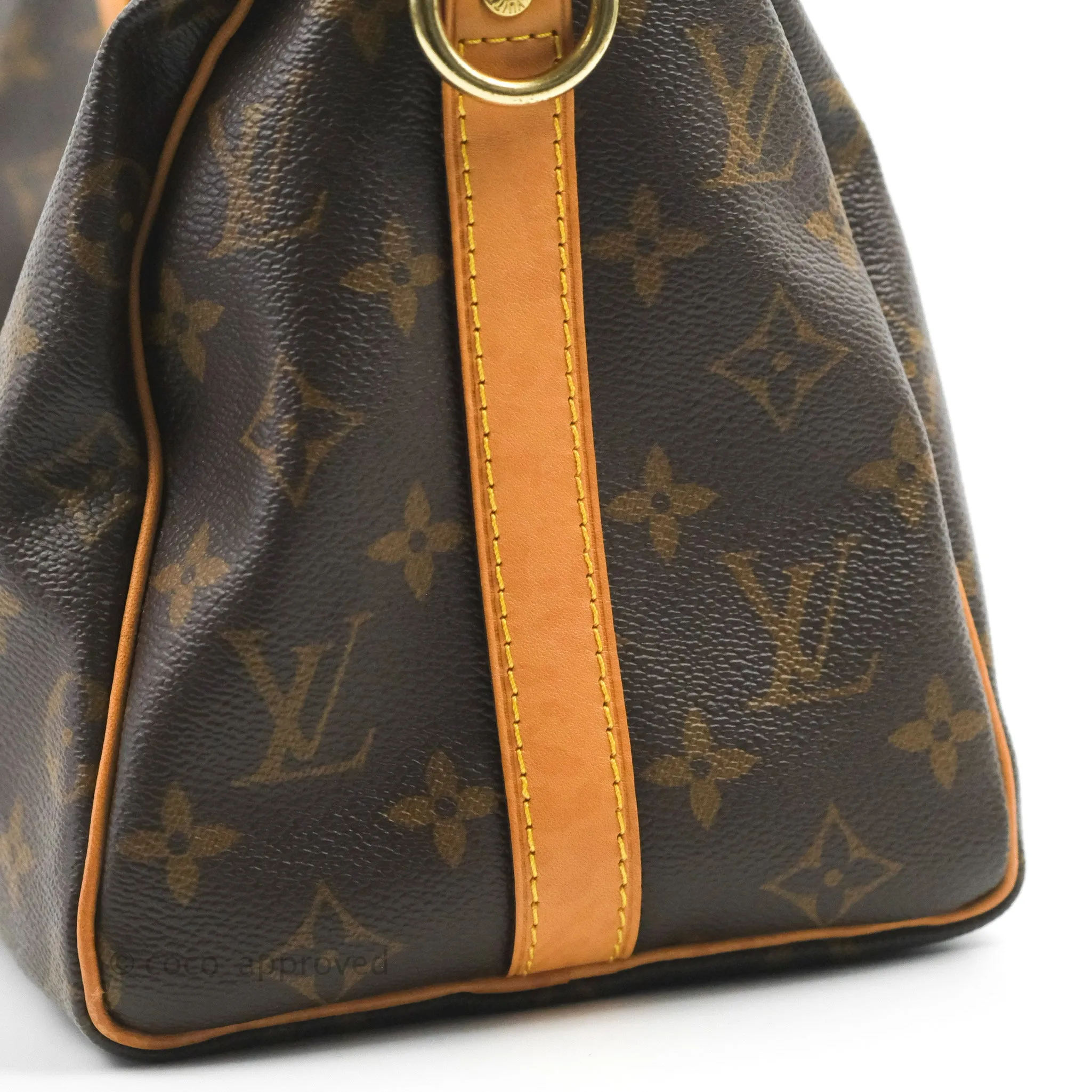 Louis Vuitton Speedy 25 Monogram Canvas