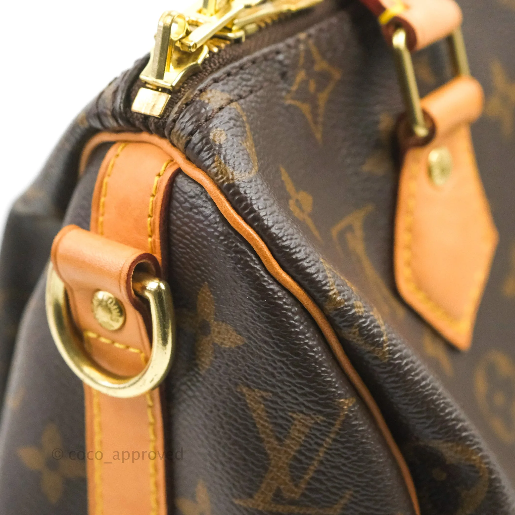 Louis Vuitton Speedy 25 Monogram Canvas