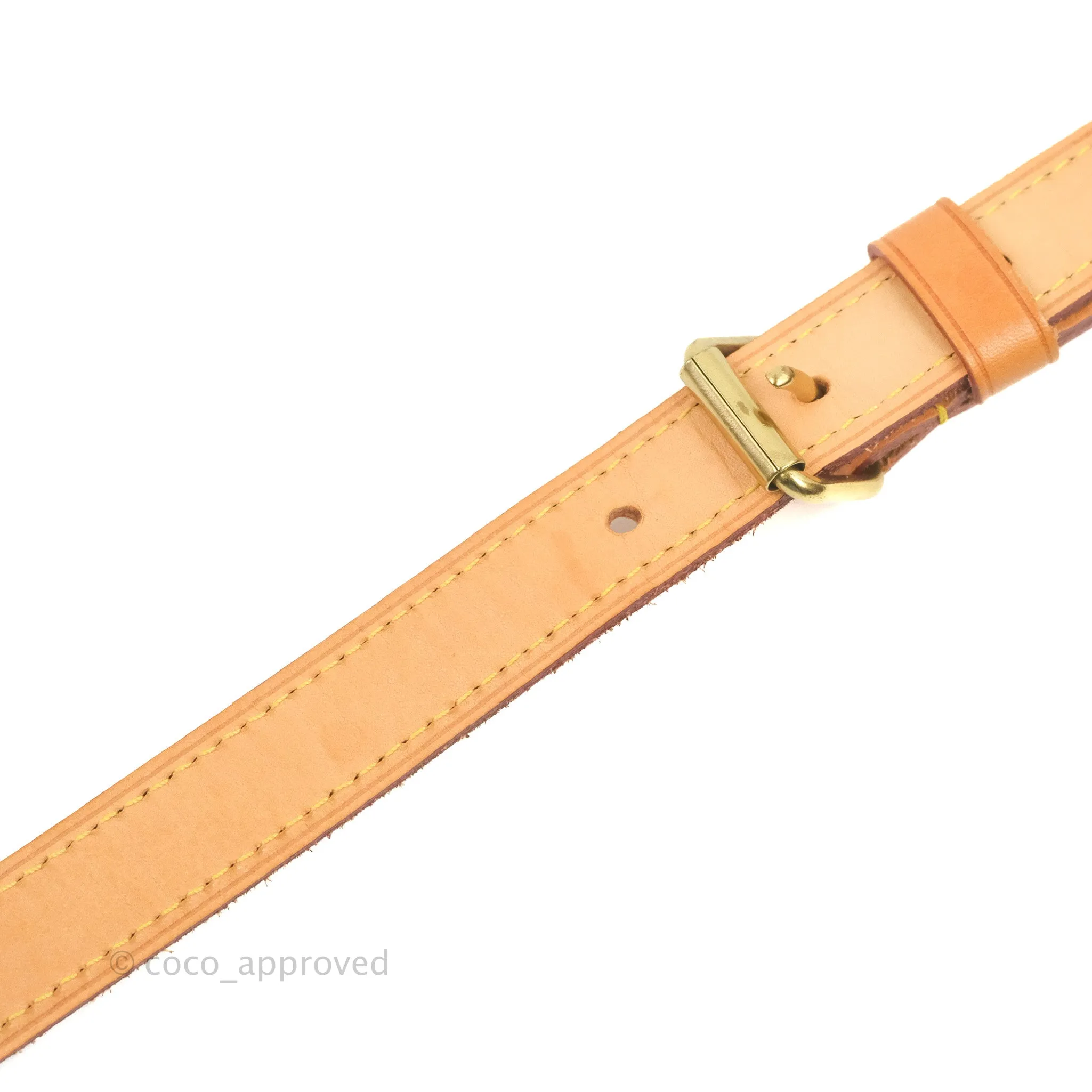 Louis Vuitton Speedy 25 Monogram Canvas