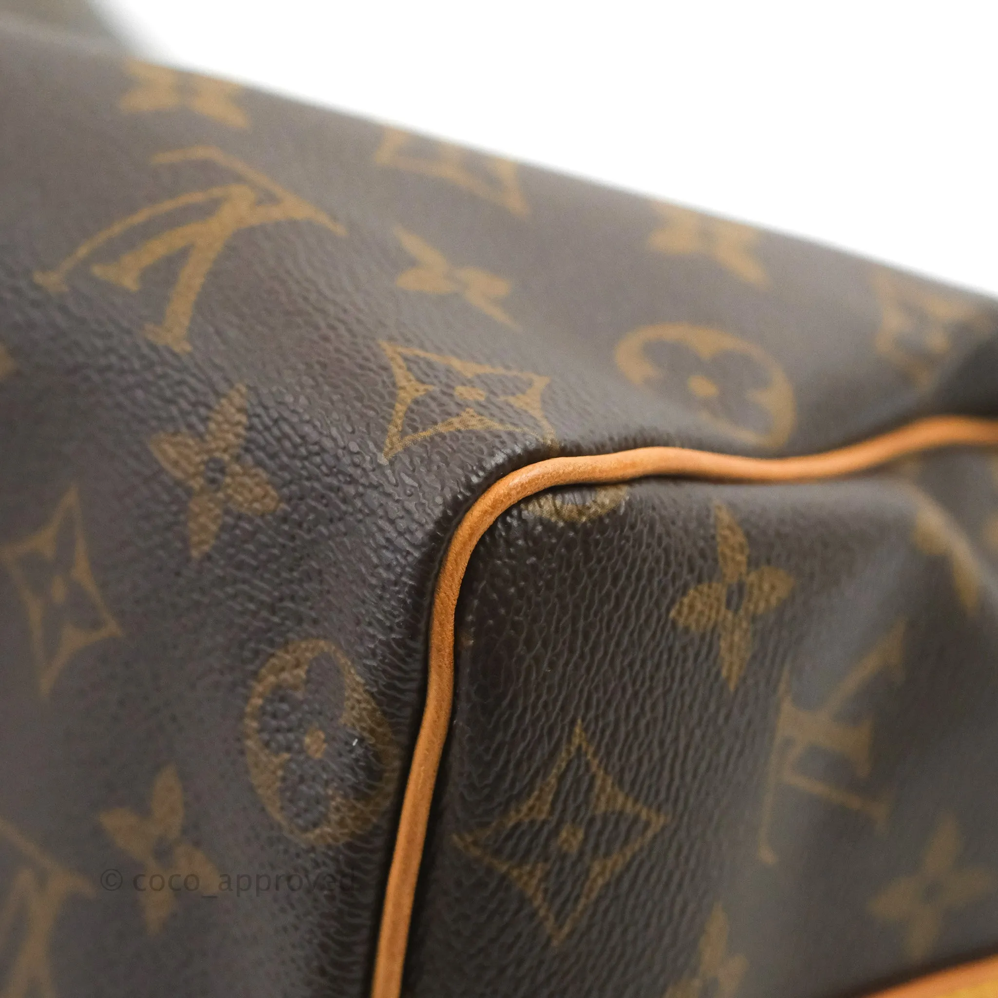 Louis Vuitton Speedy 25 Monogram Canvas