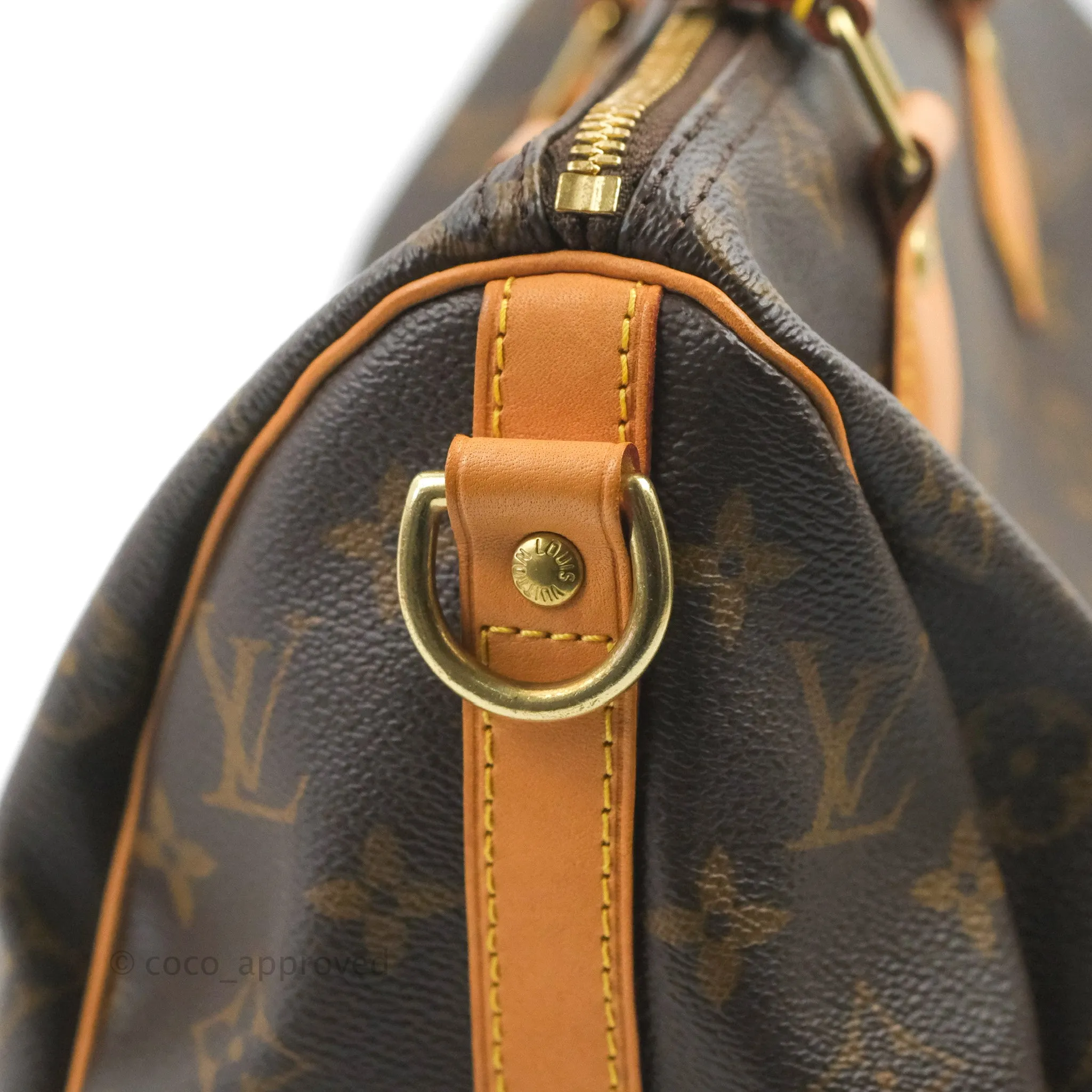 Louis Vuitton Speedy 25 Monogram Canvas