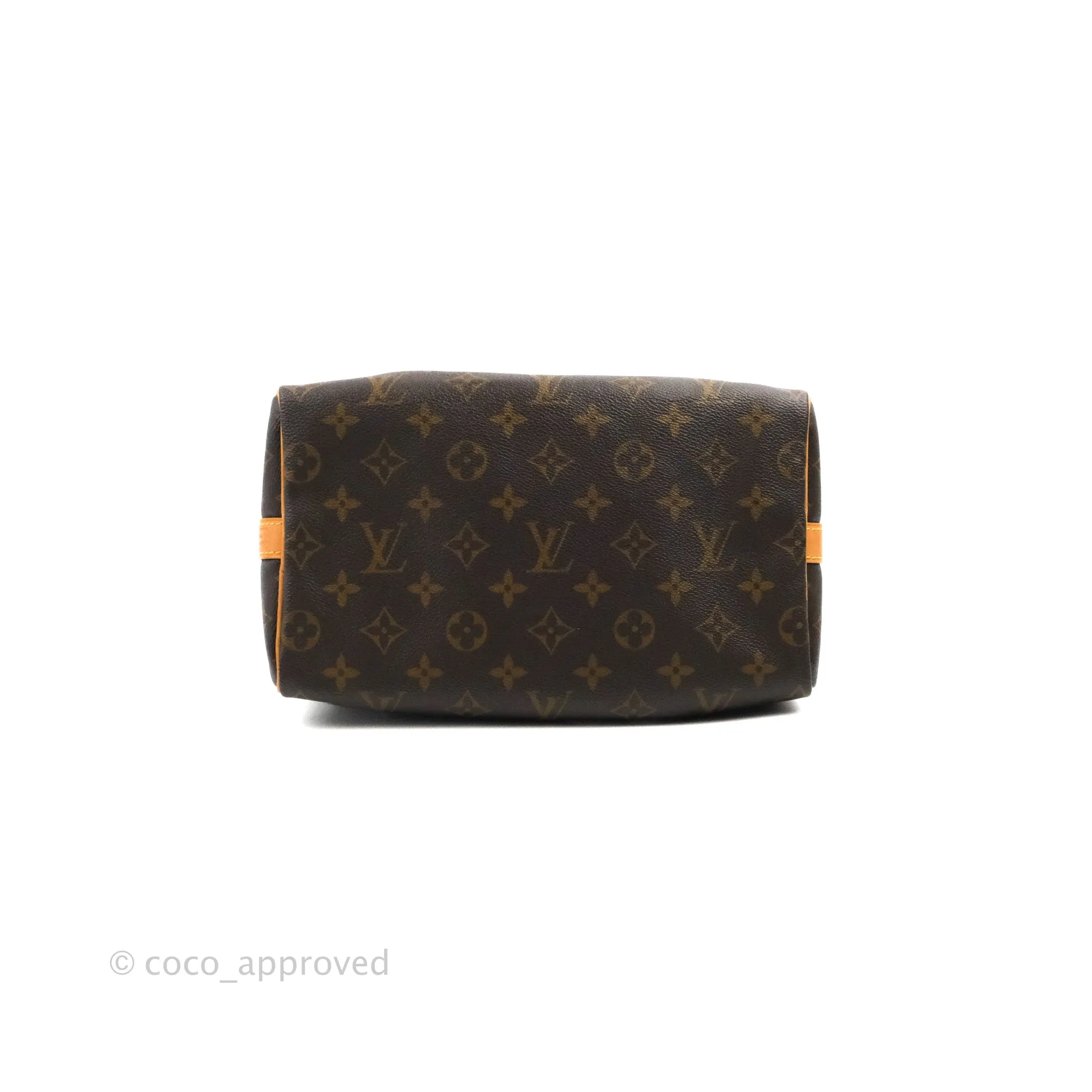 Louis Vuitton Speedy 25 Monogram Canvas