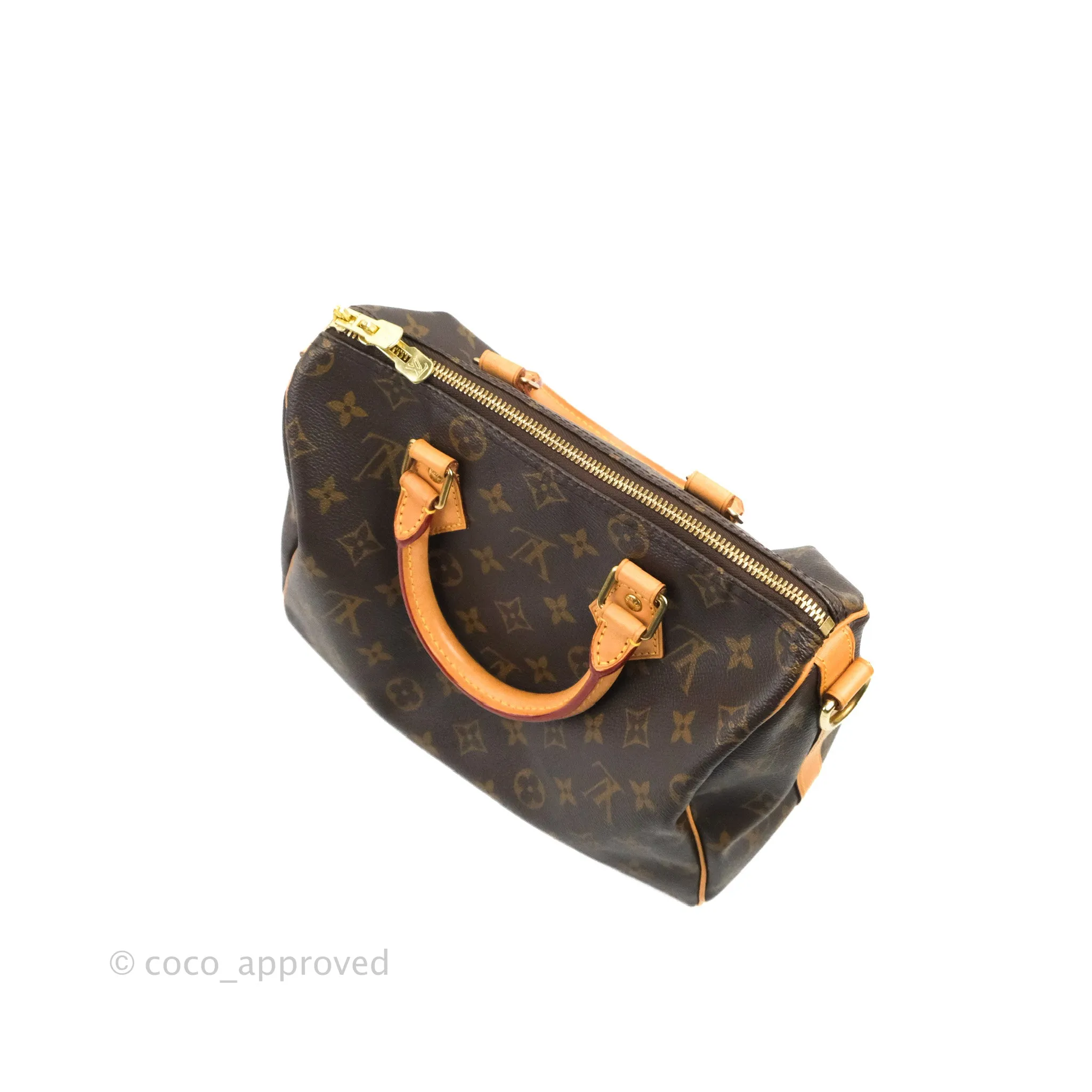 Louis Vuitton Speedy 25 Monogram Canvas