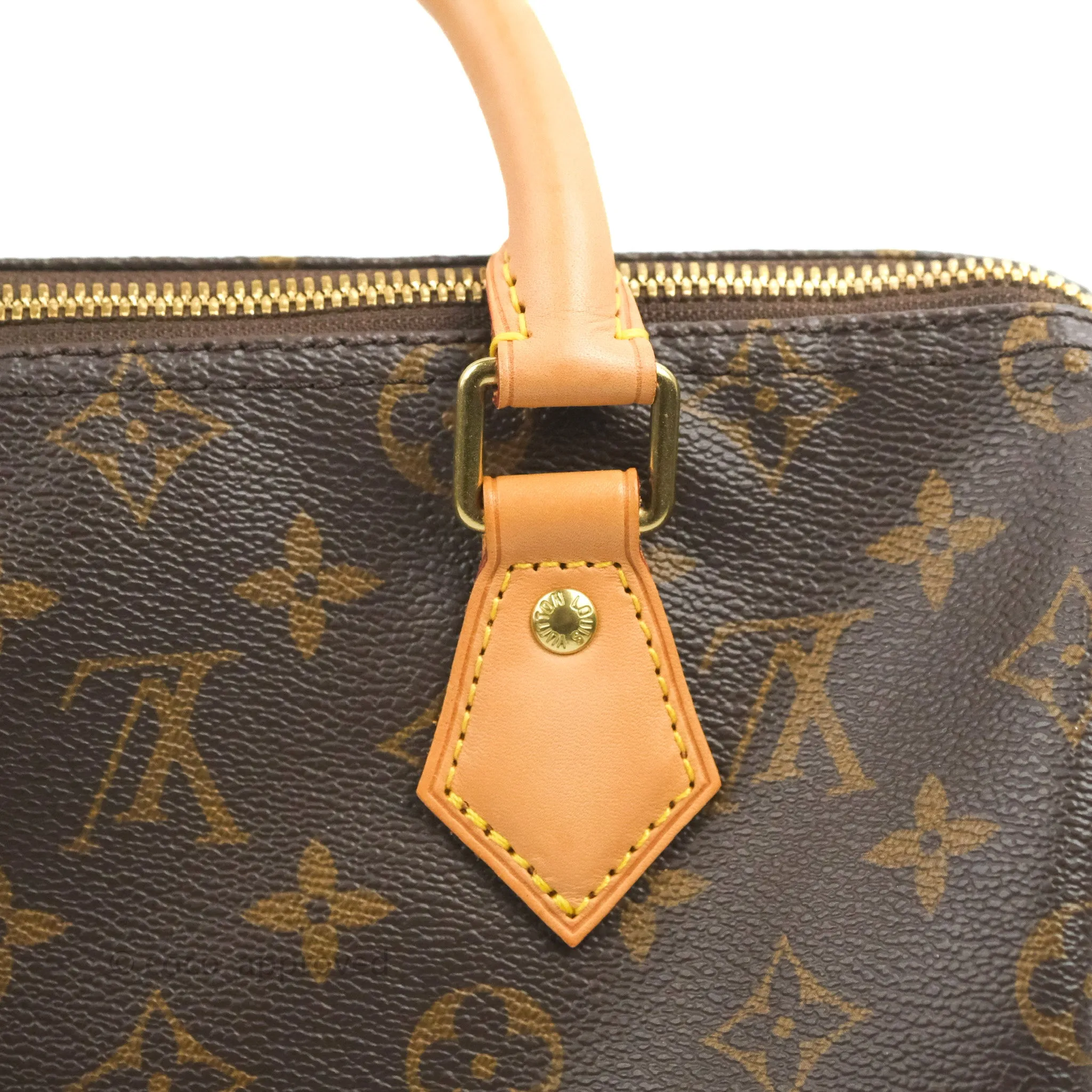 Louis Vuitton Speedy 25 Monogram Canvas