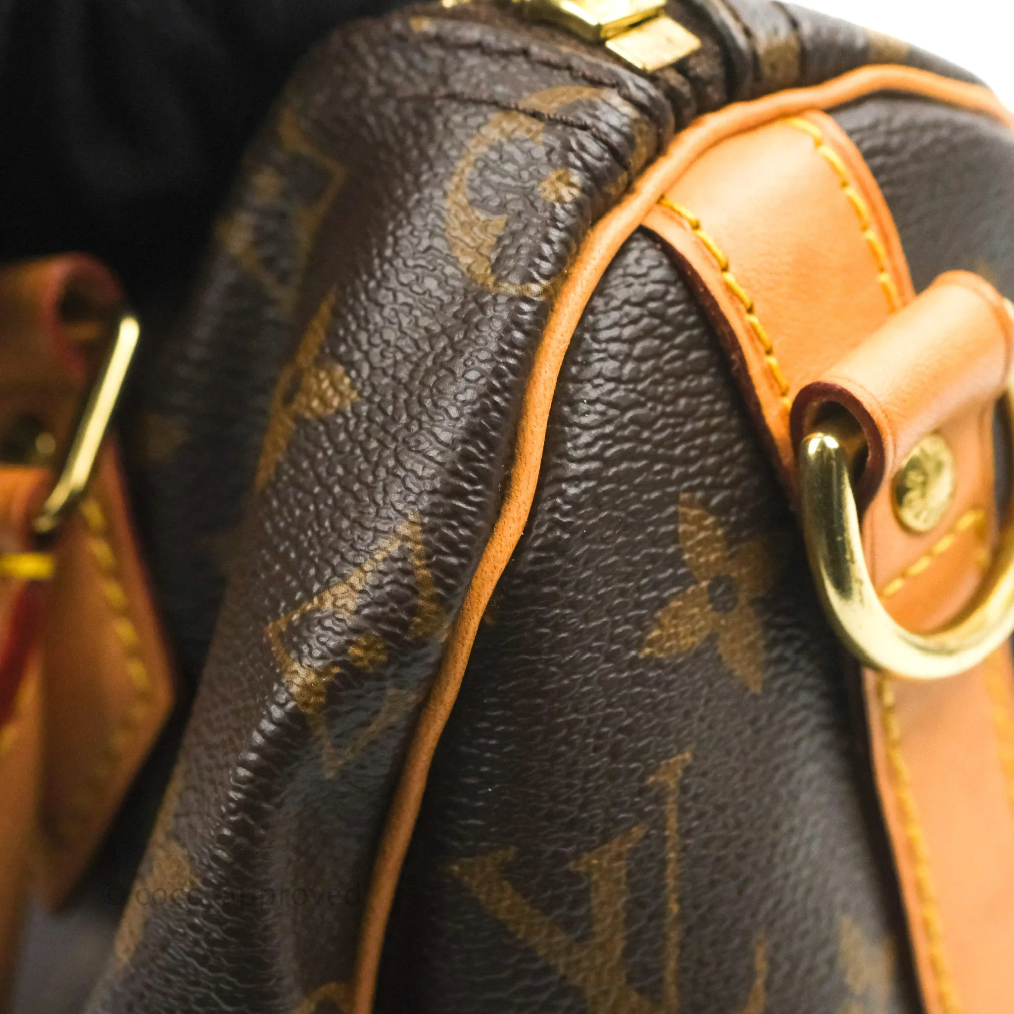 Louis Vuitton Speedy 25 Monogram Canvas