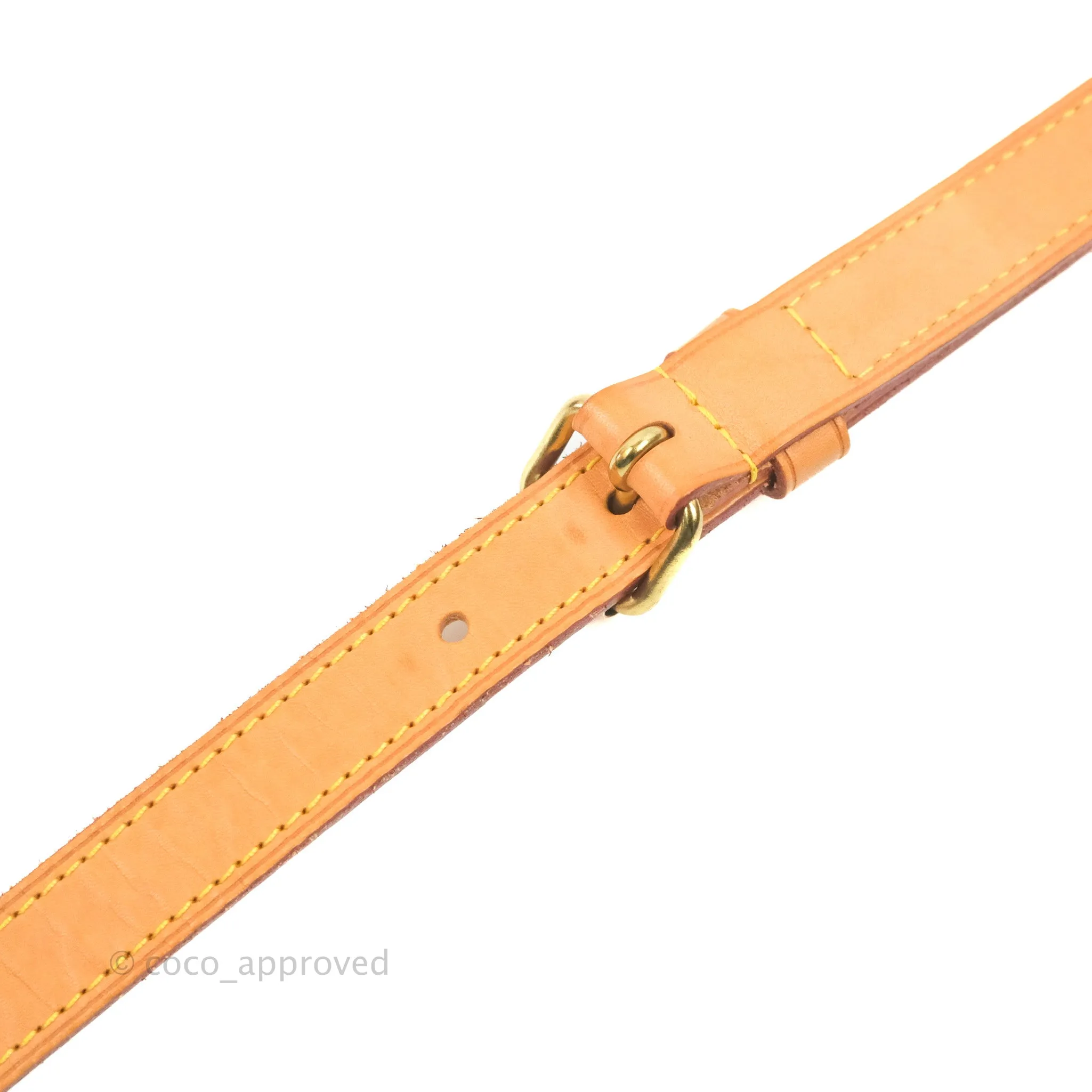 Louis Vuitton Speedy 25 Monogram Canvas