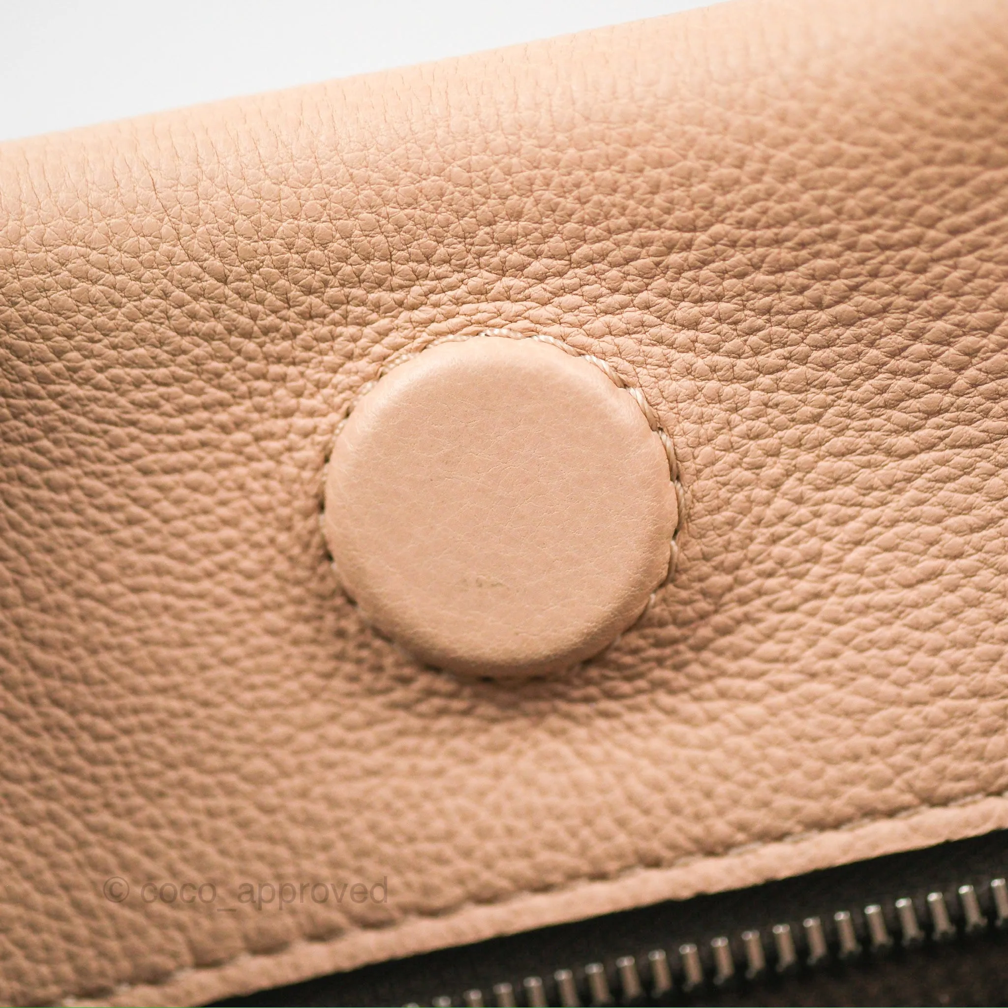 Louis Vuitton Veau Cachemire Tote W BB Petale Grained Calfskin