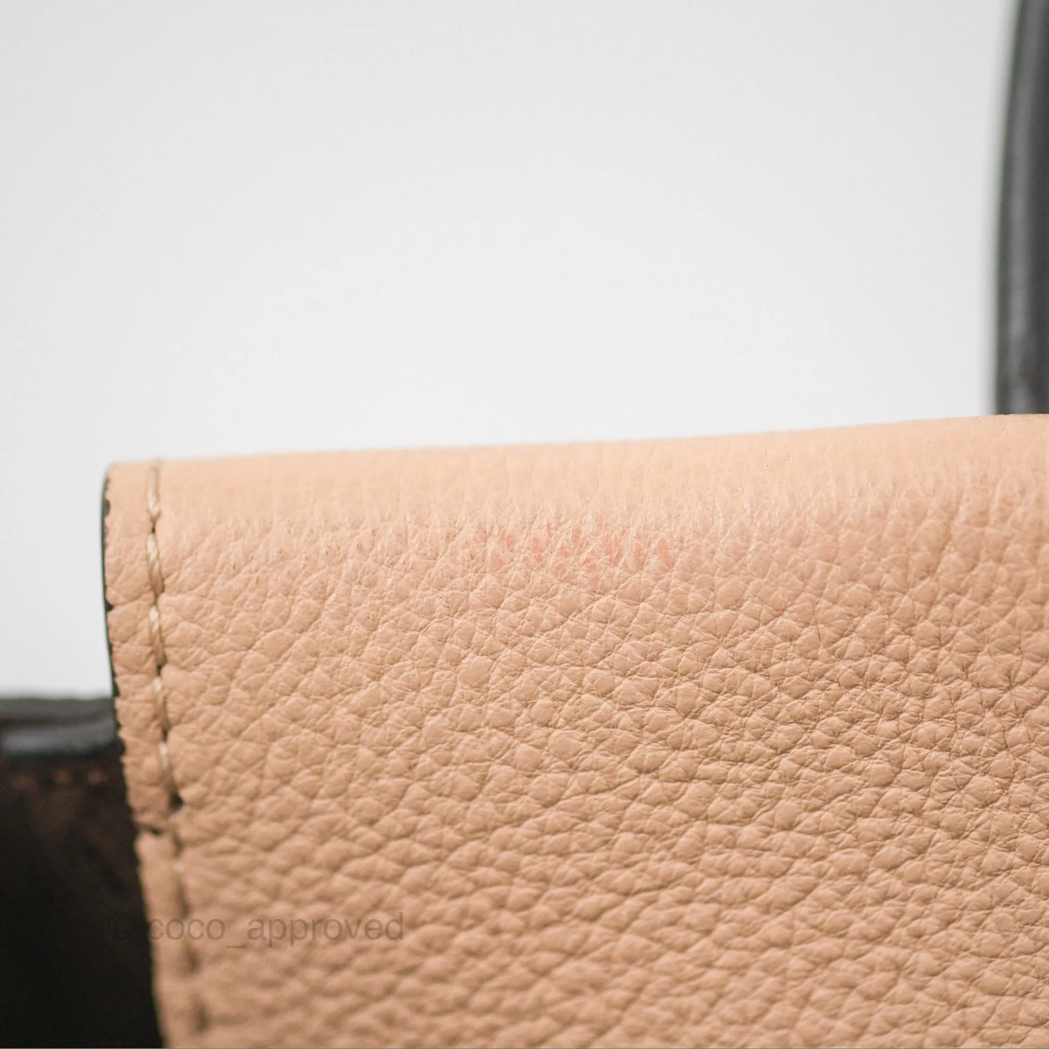 Louis Vuitton Veau Cachemire Tote W BB Petale Grained Calfskin
