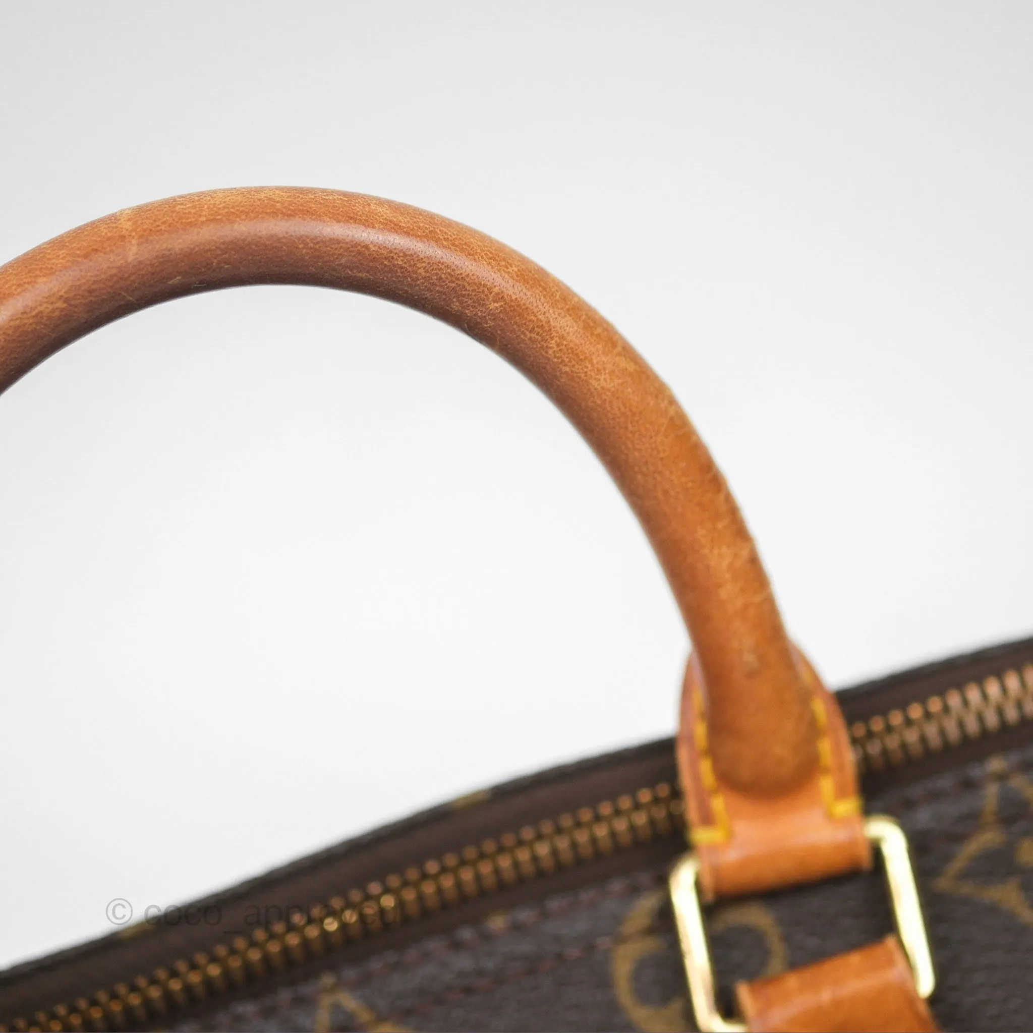 Louis Vuitton Vintage Speedy 25 Monogram Canvas