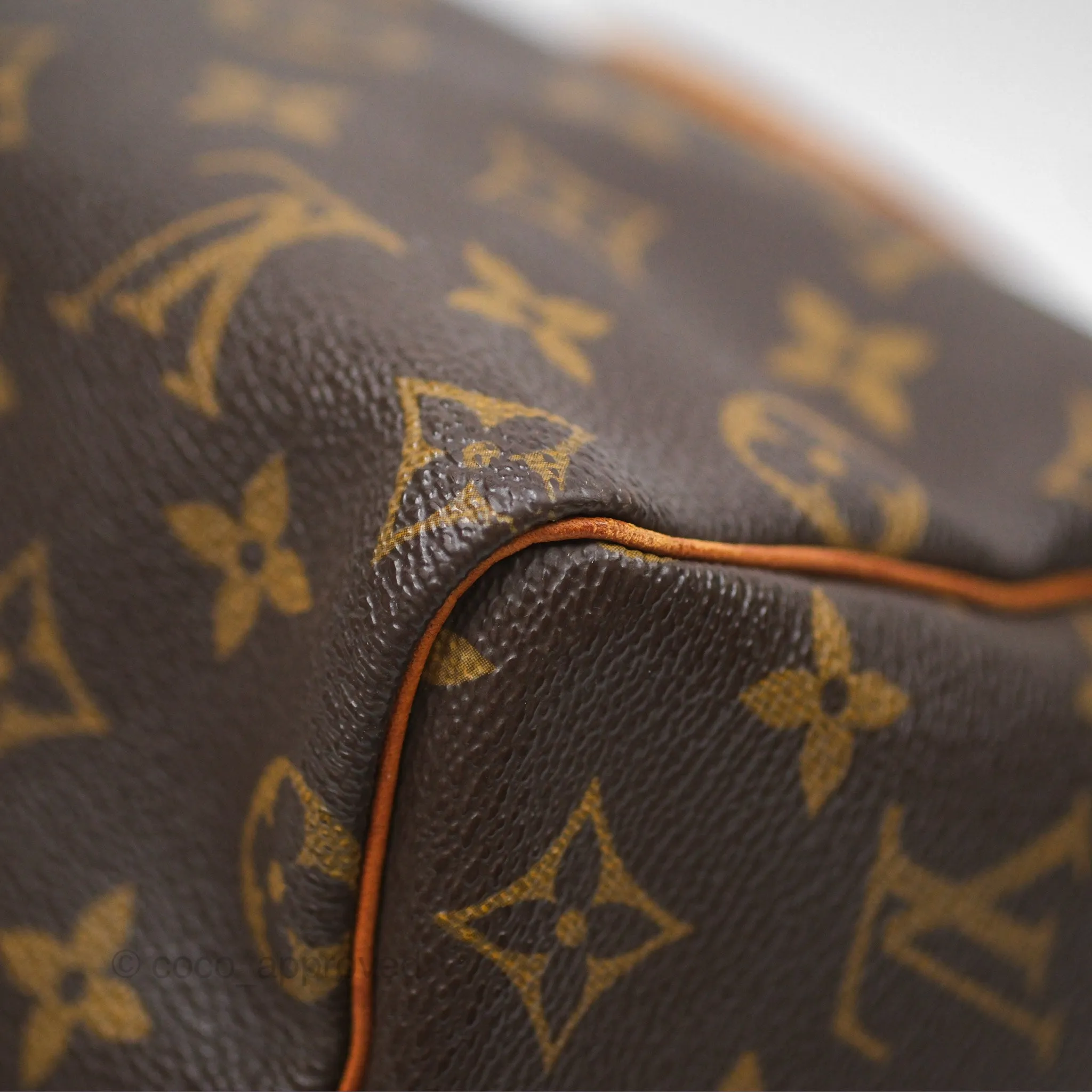 Louis Vuitton Vintage Speedy 25 Monogram Canvas
