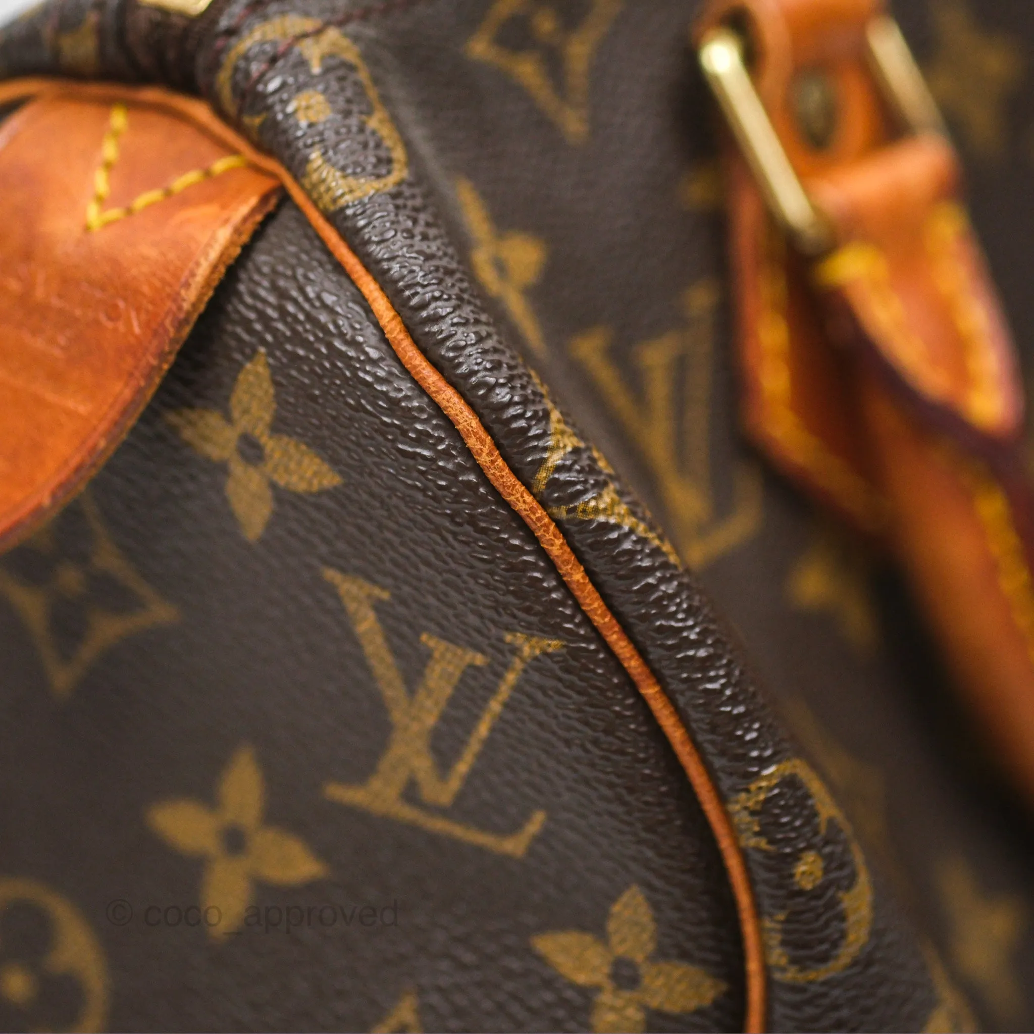 Louis Vuitton Vintage Speedy 25 Monogram Canvas