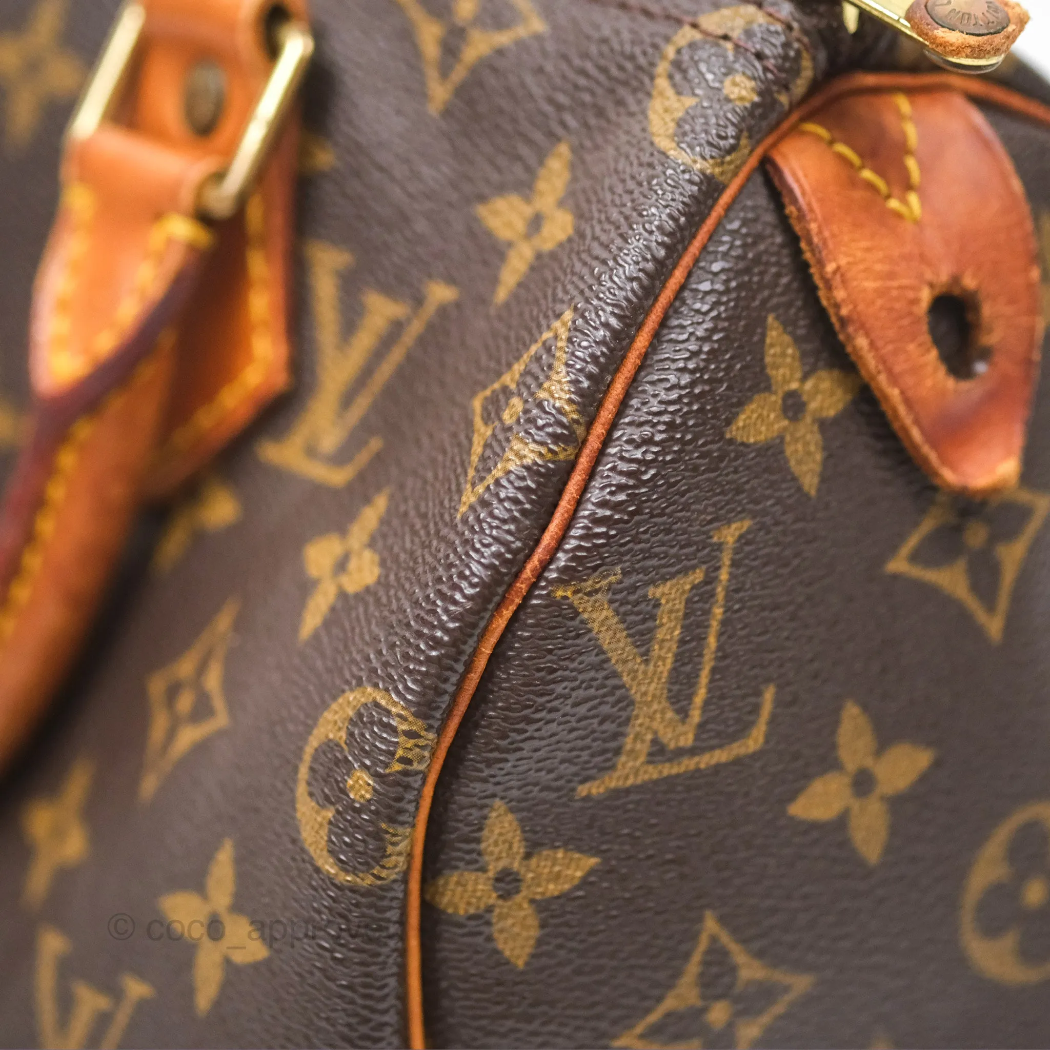 Louis Vuitton Vintage Speedy 25 Monogram Canvas