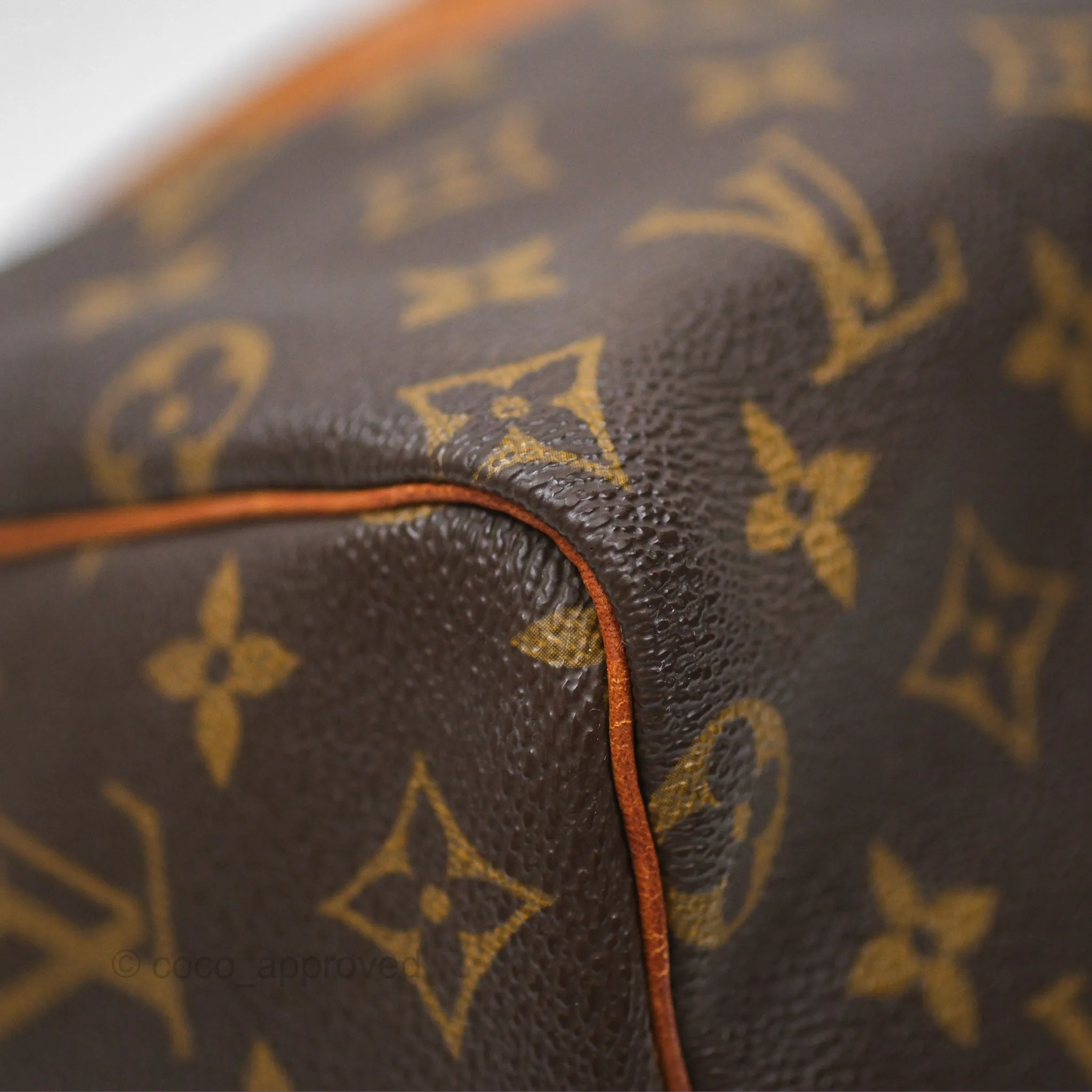 Louis Vuitton Vintage Speedy 25 Monogram Canvas