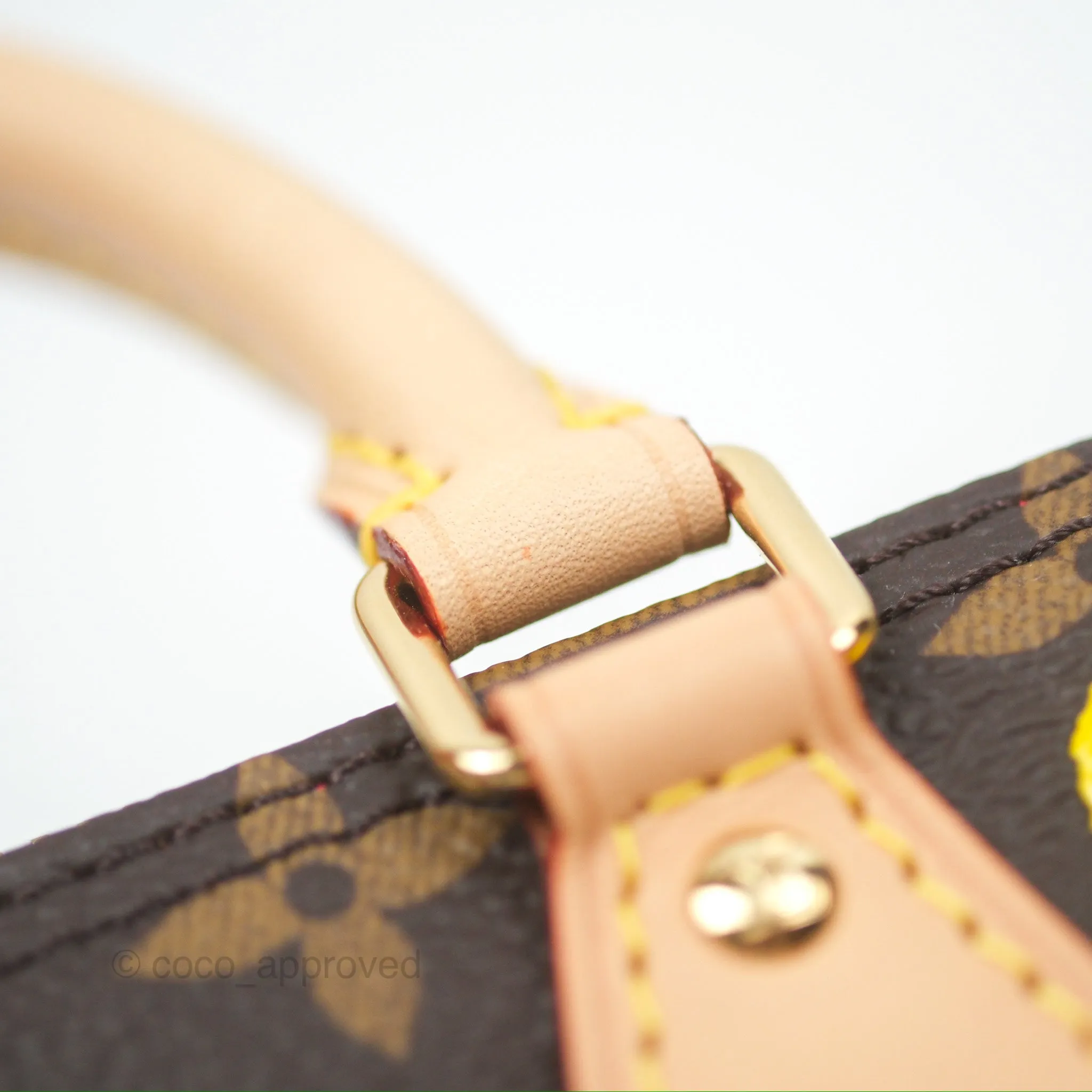 Louis Vuitton x Yayoi Kusama Nano Speedy Infinity Dots Monogram
