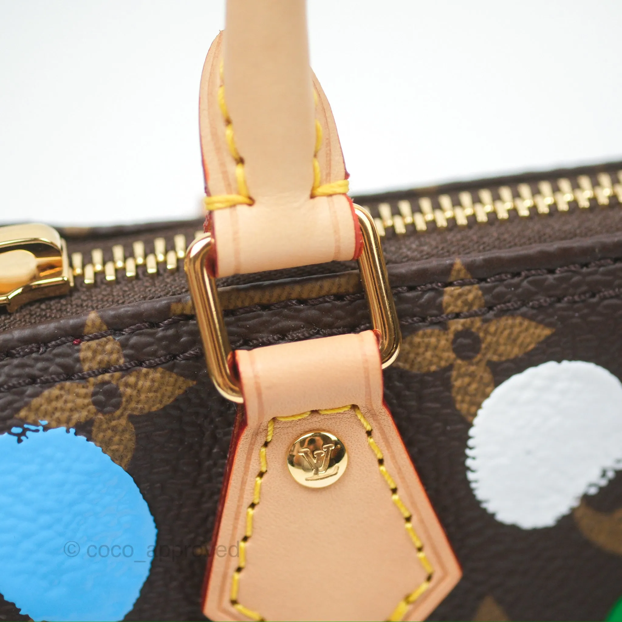 Louis Vuitton x Yayoi Kusama Nano Speedy Infinity Dots Monogram