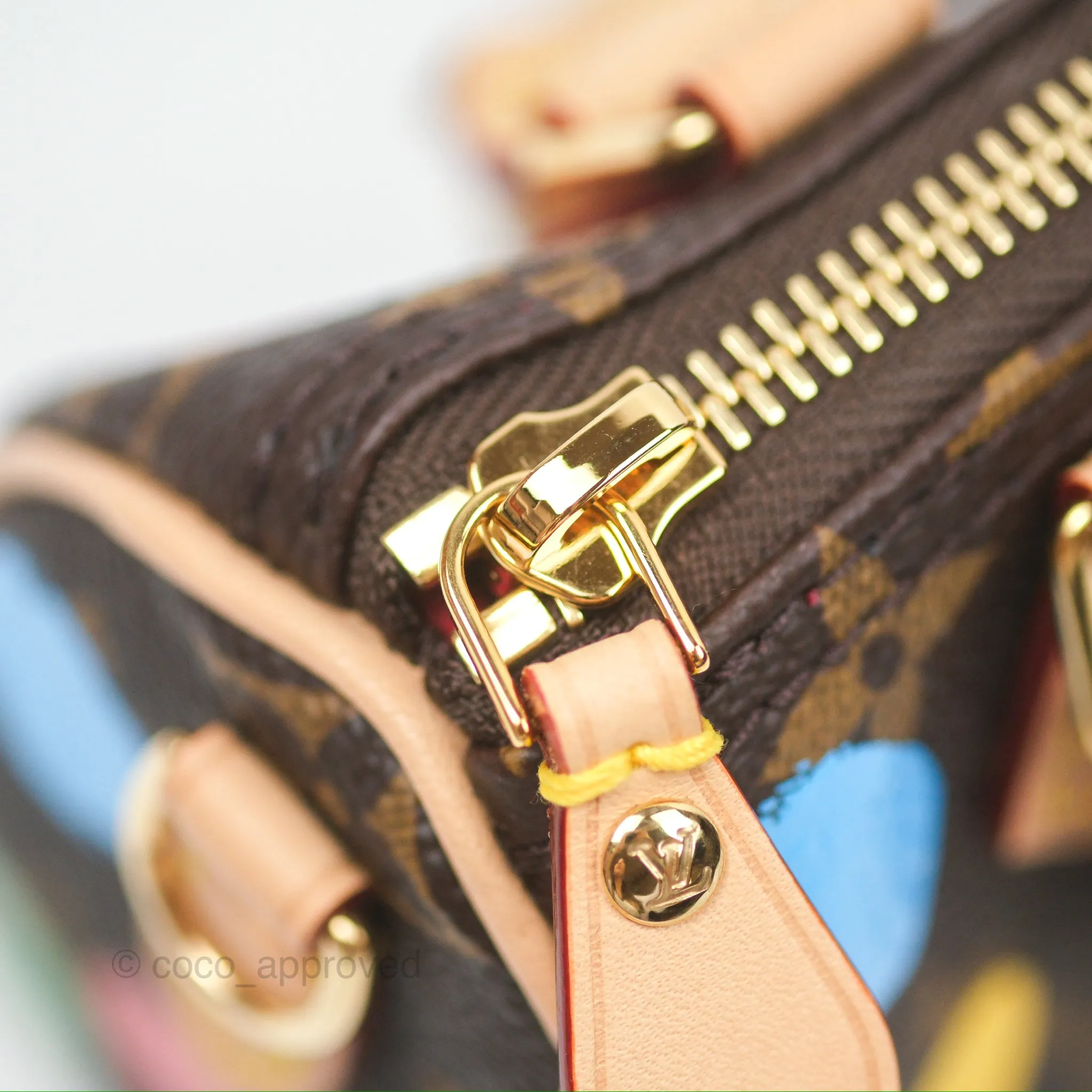 Louis Vuitton x Yayoi Kusama Nano Speedy Infinity Dots Monogram